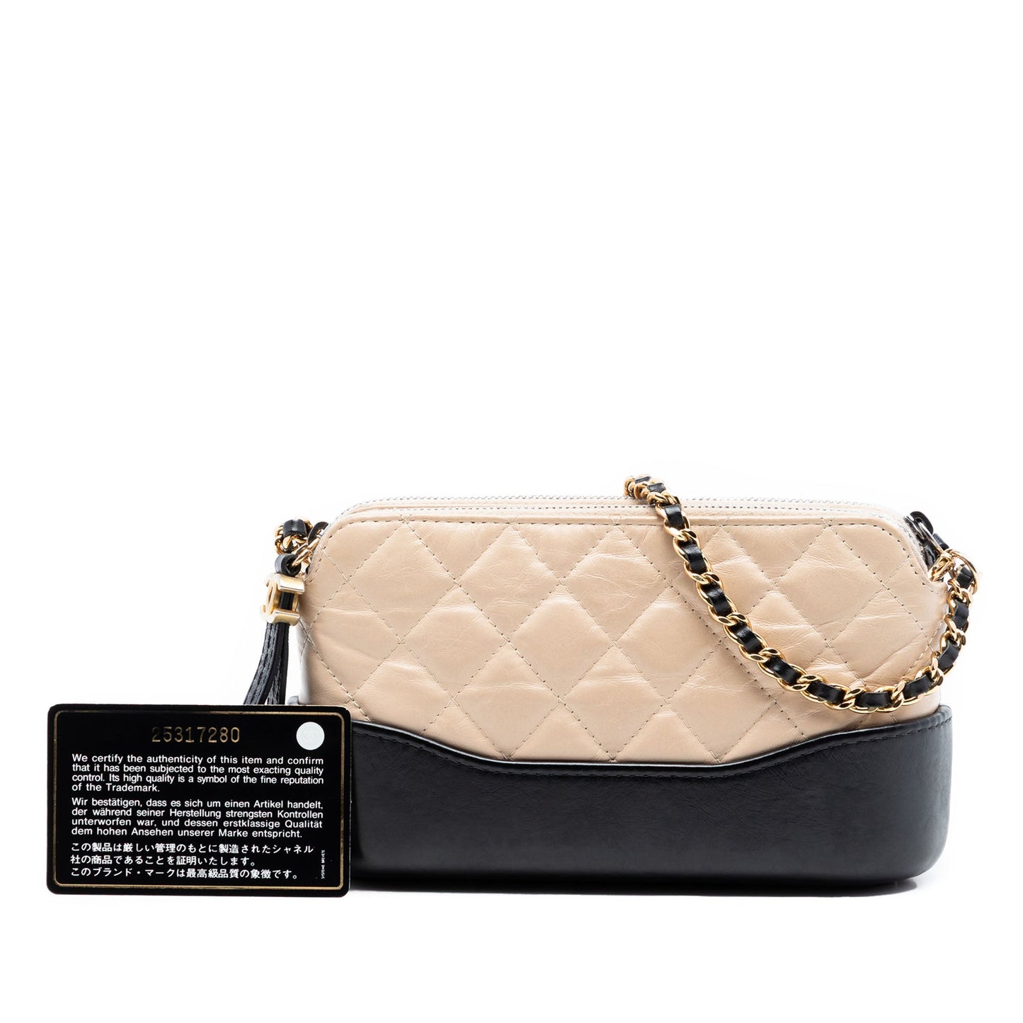 Chanel Bicolor Aged Calfskin Gabrielle Double Zip Clutch with Chain