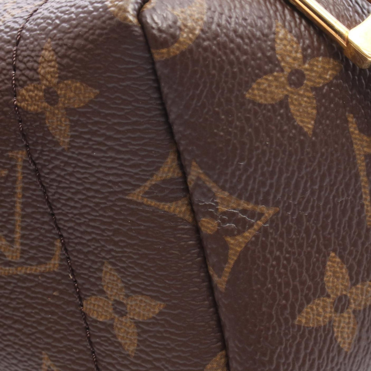 Louis Vuitton Monogram Mini Palm Springs