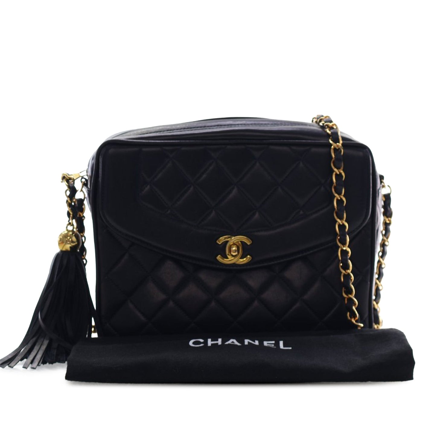 Small Quilted Lambskin Diana Tassel Camera Bag
