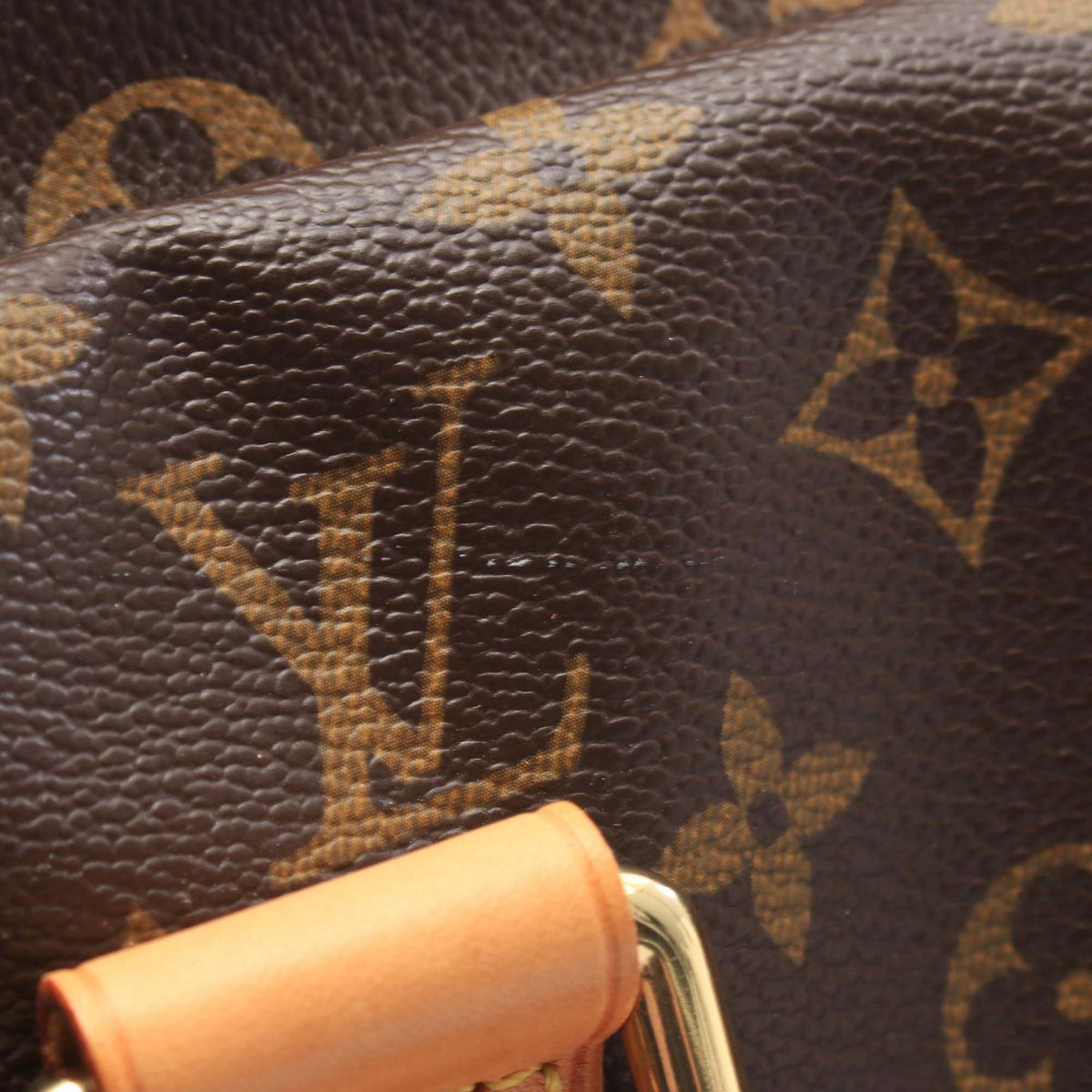 Louis Vuitton Monogram Carryall