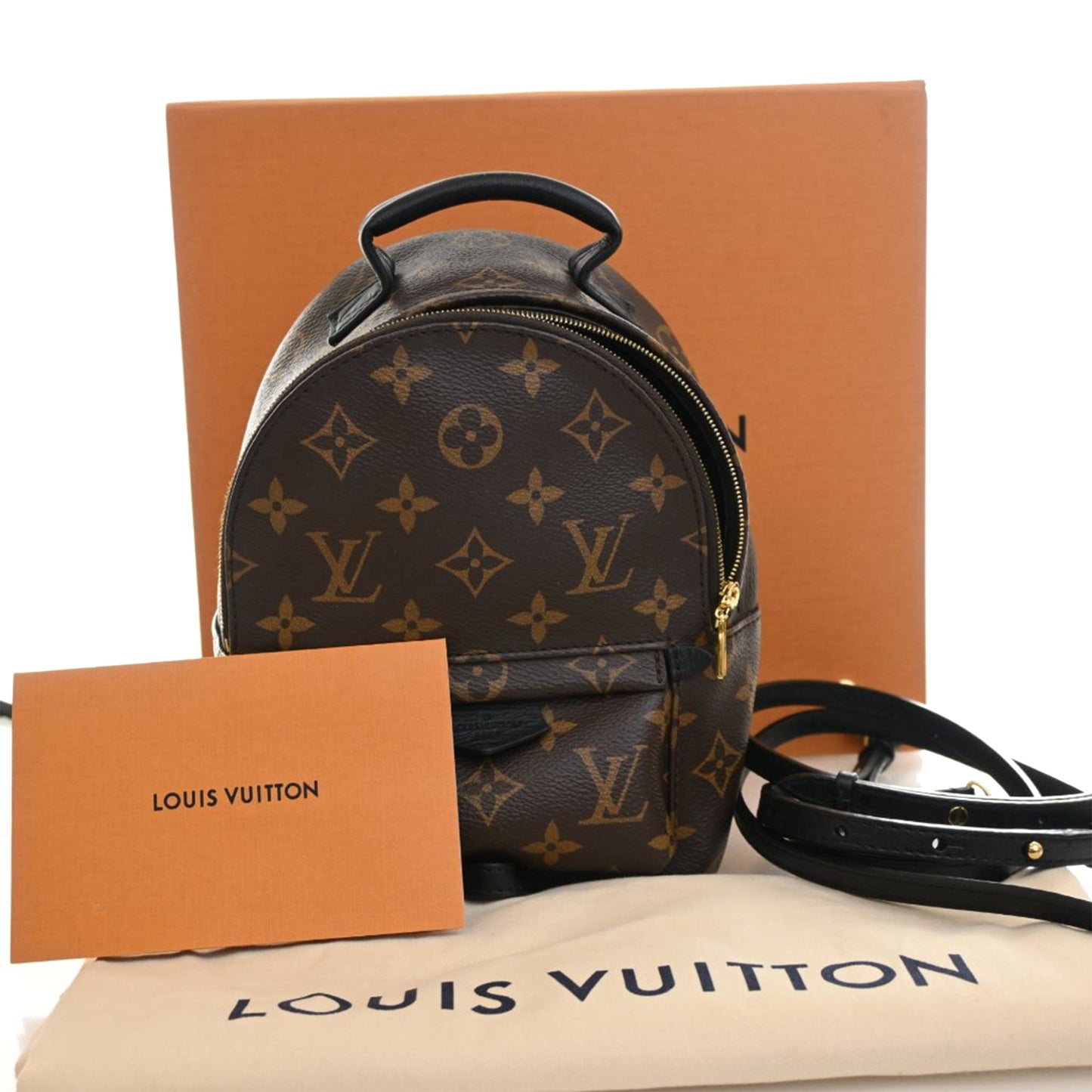 Louis Vuitton Monogram Mini Palm Springs