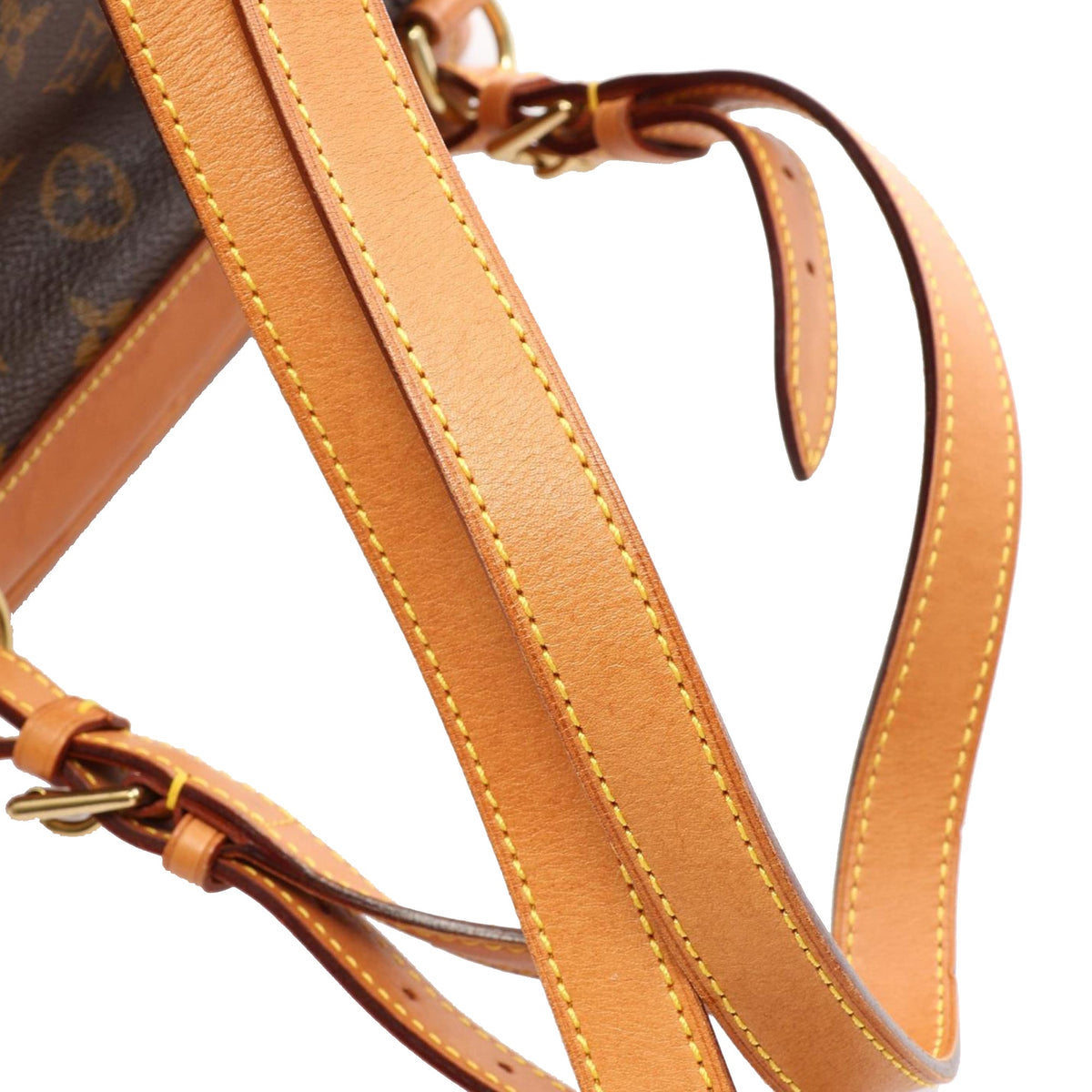 Louis Vuitton Monogram Montsouris MM — Brown