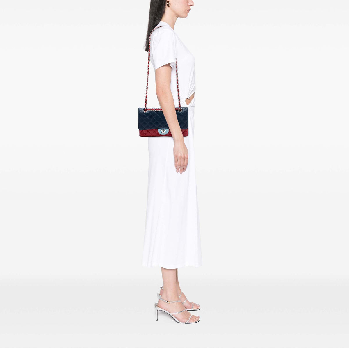 Chanel Medium Classic Tricolor Lambskin Double Flap