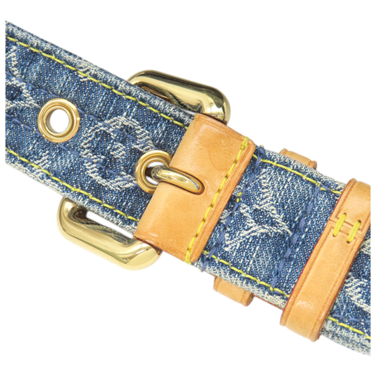 Louis Vuitton Monogram Denim Bum Bag