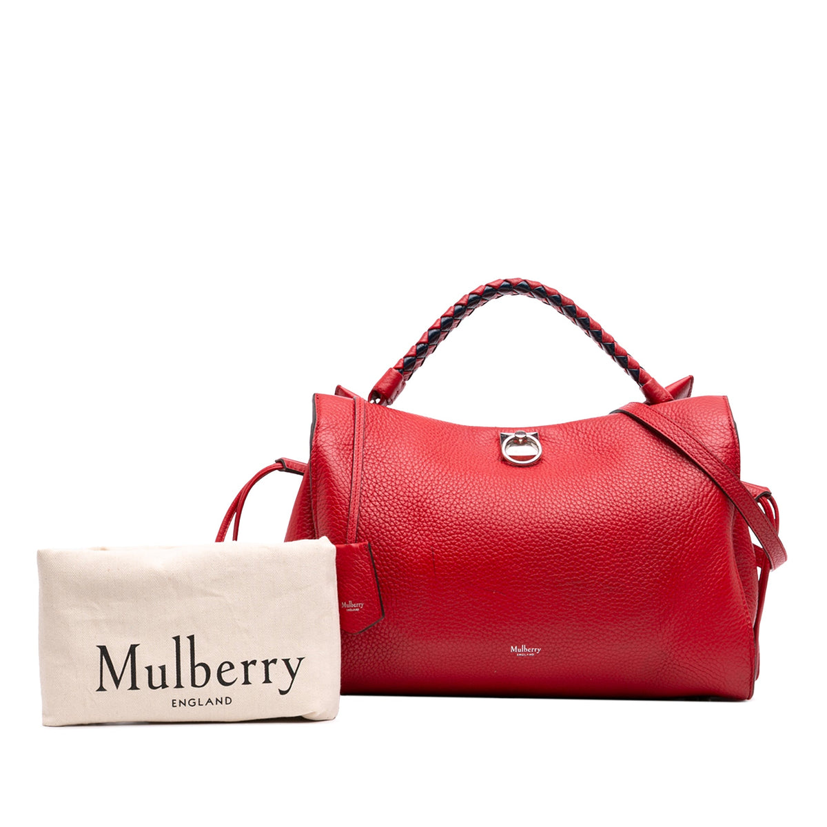 Mulberry Medium Grained Calfskin Iris Satchel