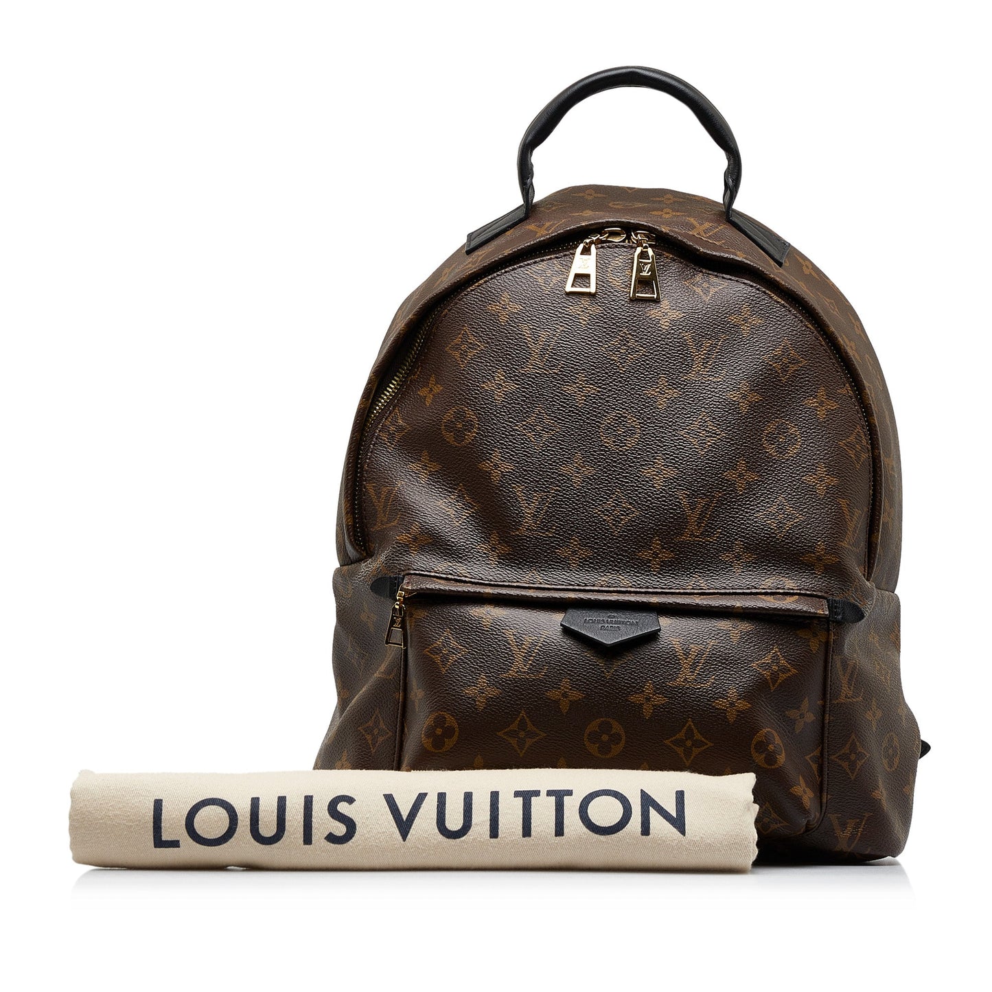 Louis Vuitton Monogram Palm Springs MM