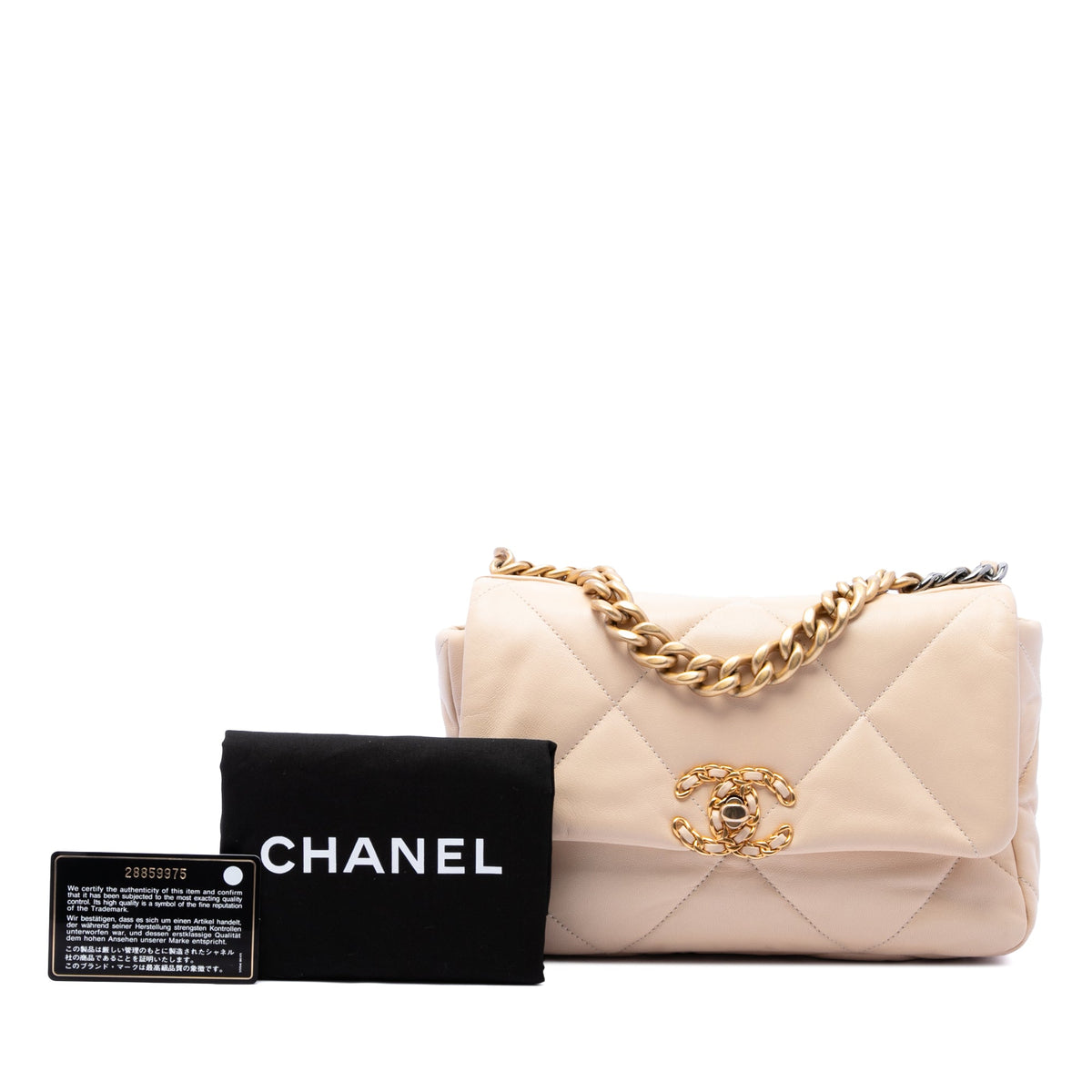 Chanel Medium Lambskin 19 Flap
