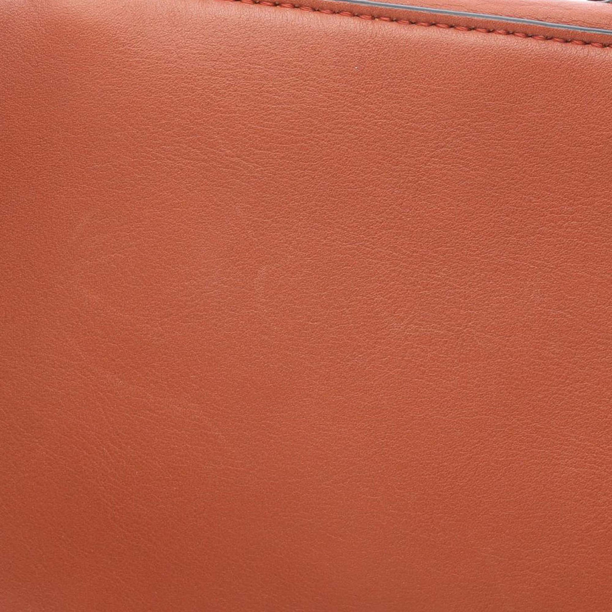 LOEWE Small Leather Goya Backpack