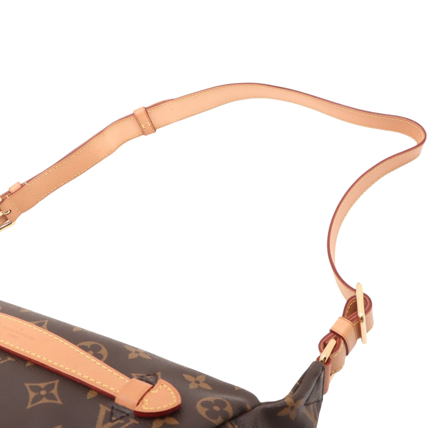 Louis Vuitton Monogram Bumbag