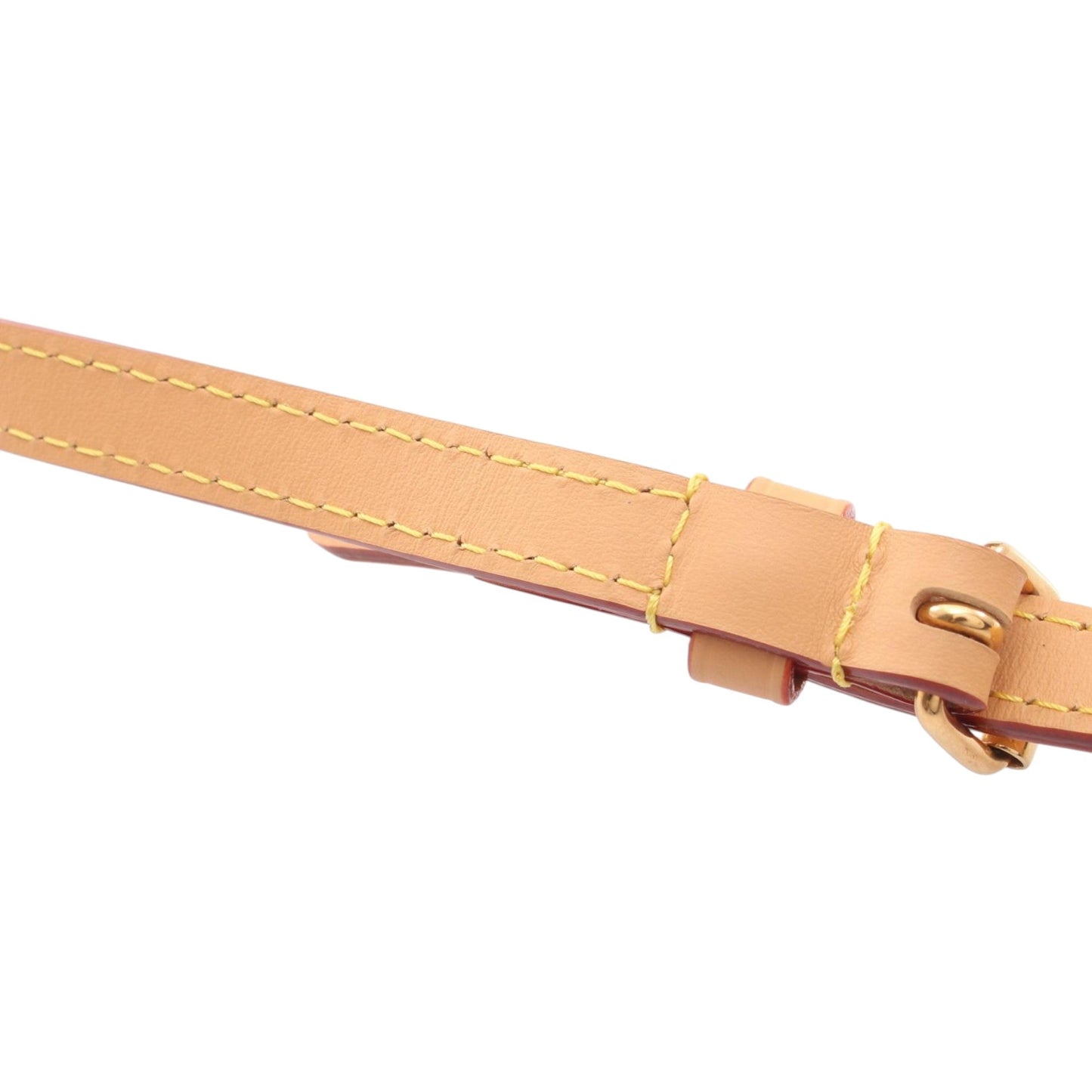 Louis Vuitton Tyler The Creator Monogram Craggy Dog On Strap Wearable Wallet