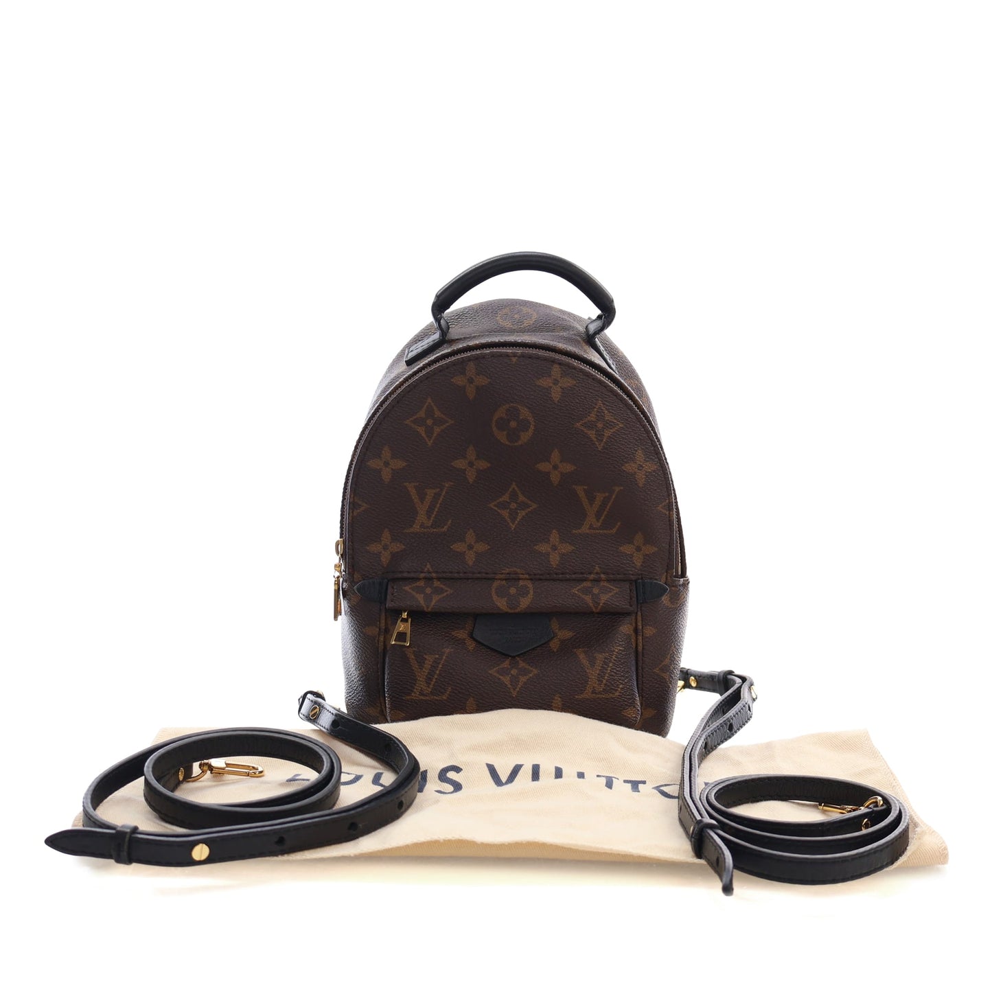Louis Vuitton Monogram Mini Palm Springs