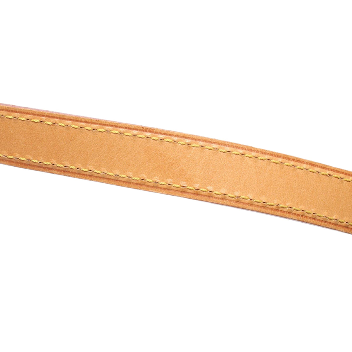 Louis Vuitton Monogram Viva Cite PM — Brown