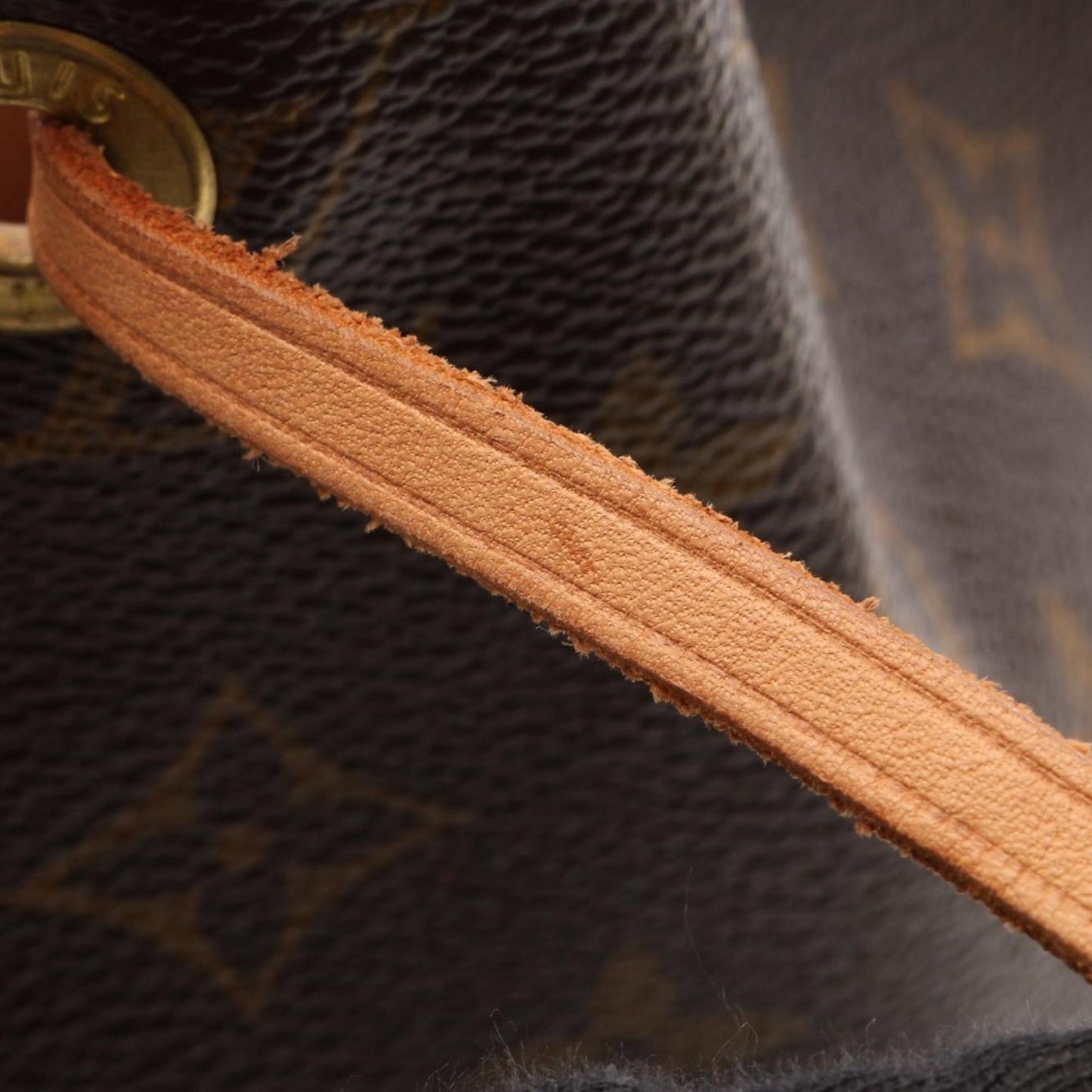 Louis Vuitton Monogram Montsouris MM