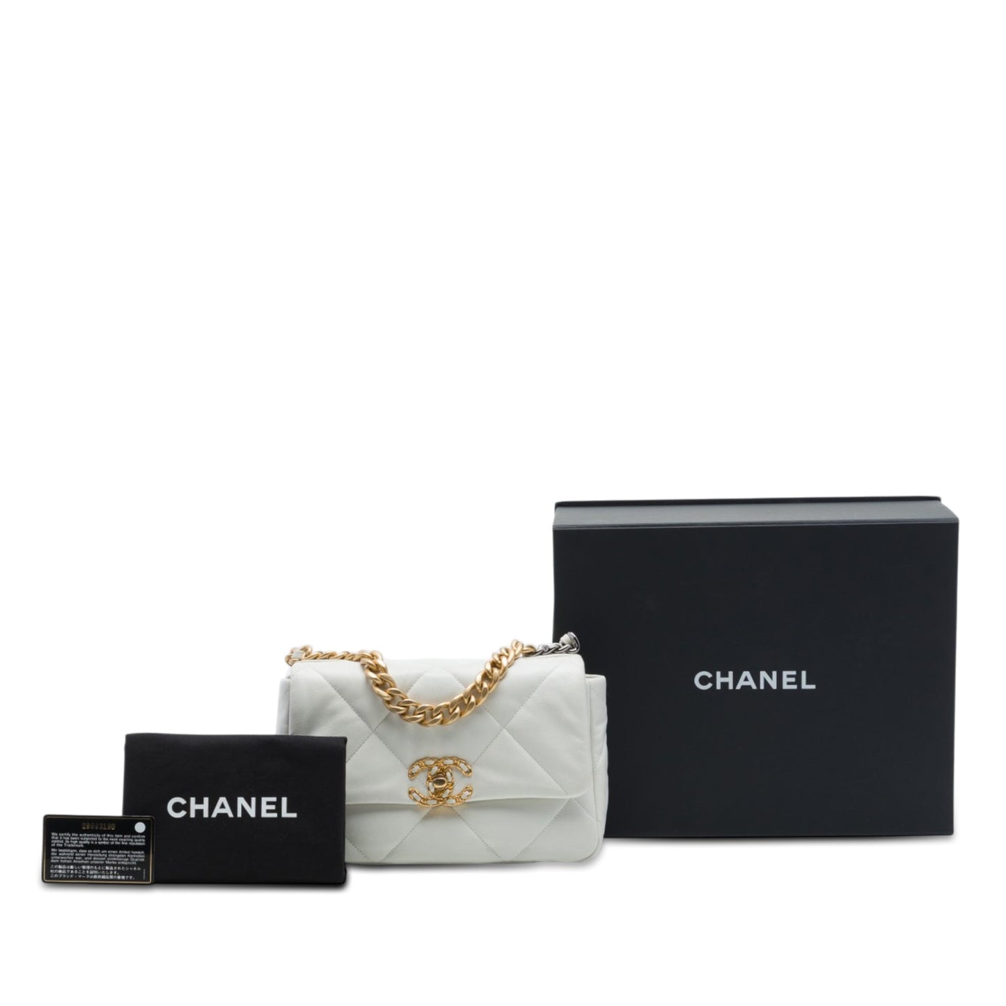 Chanel Medium Lambskin 19 Flap