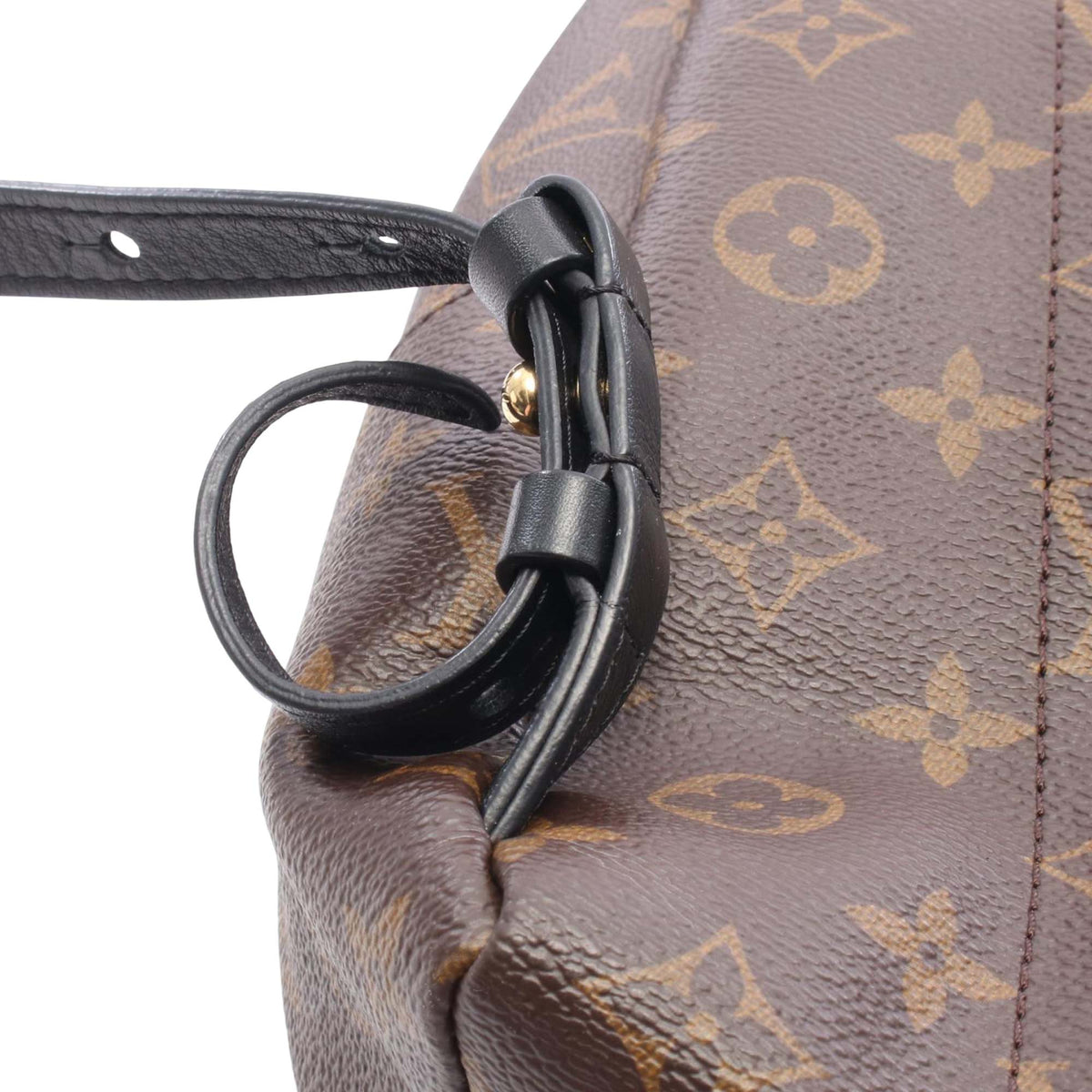 Louis Vuitton Monogram Palm Springs PM