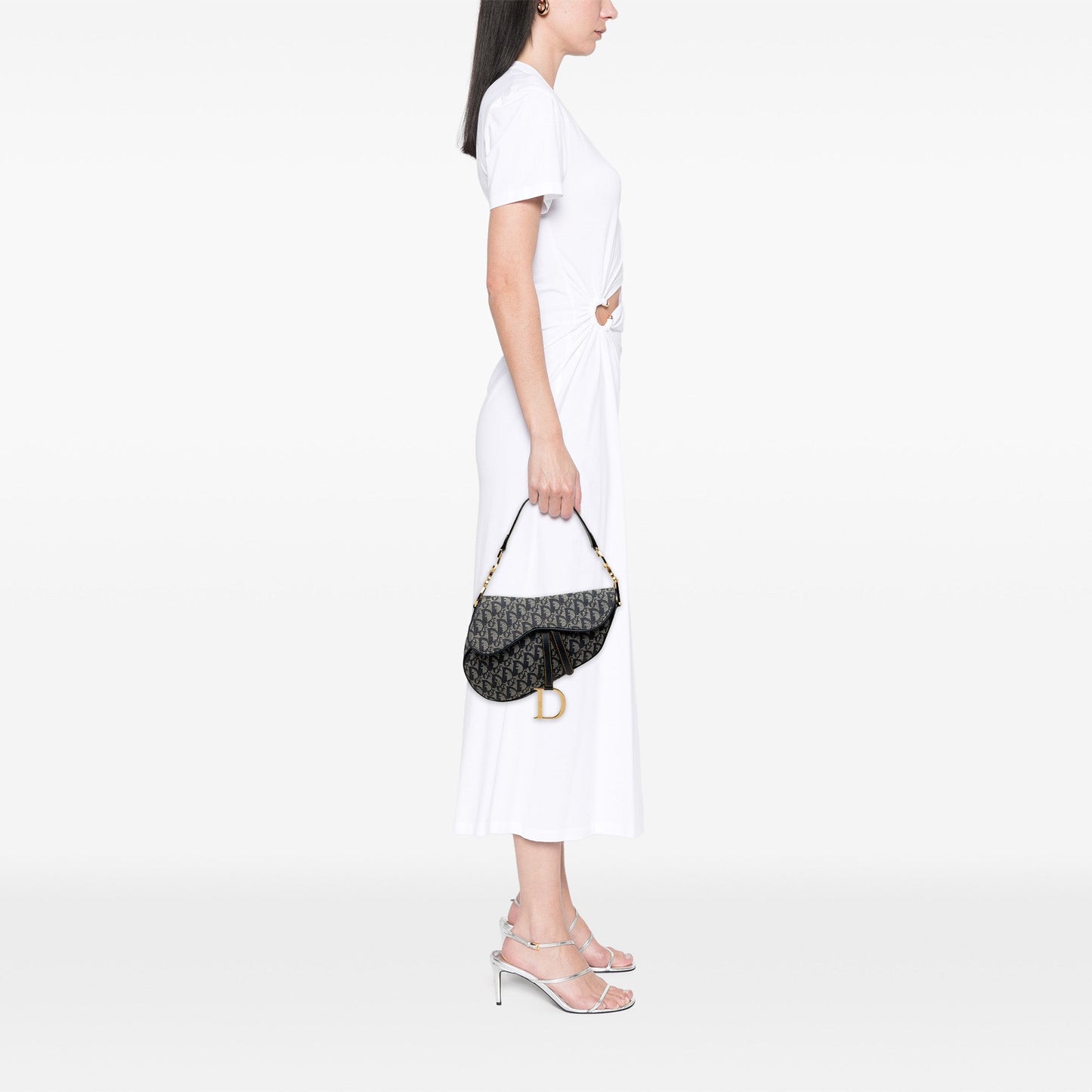 Dior Oblique Canvas Saddle Bag