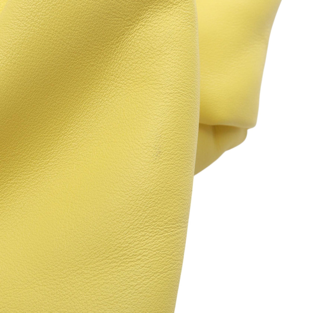 Bottega Veneta The Mini Twist