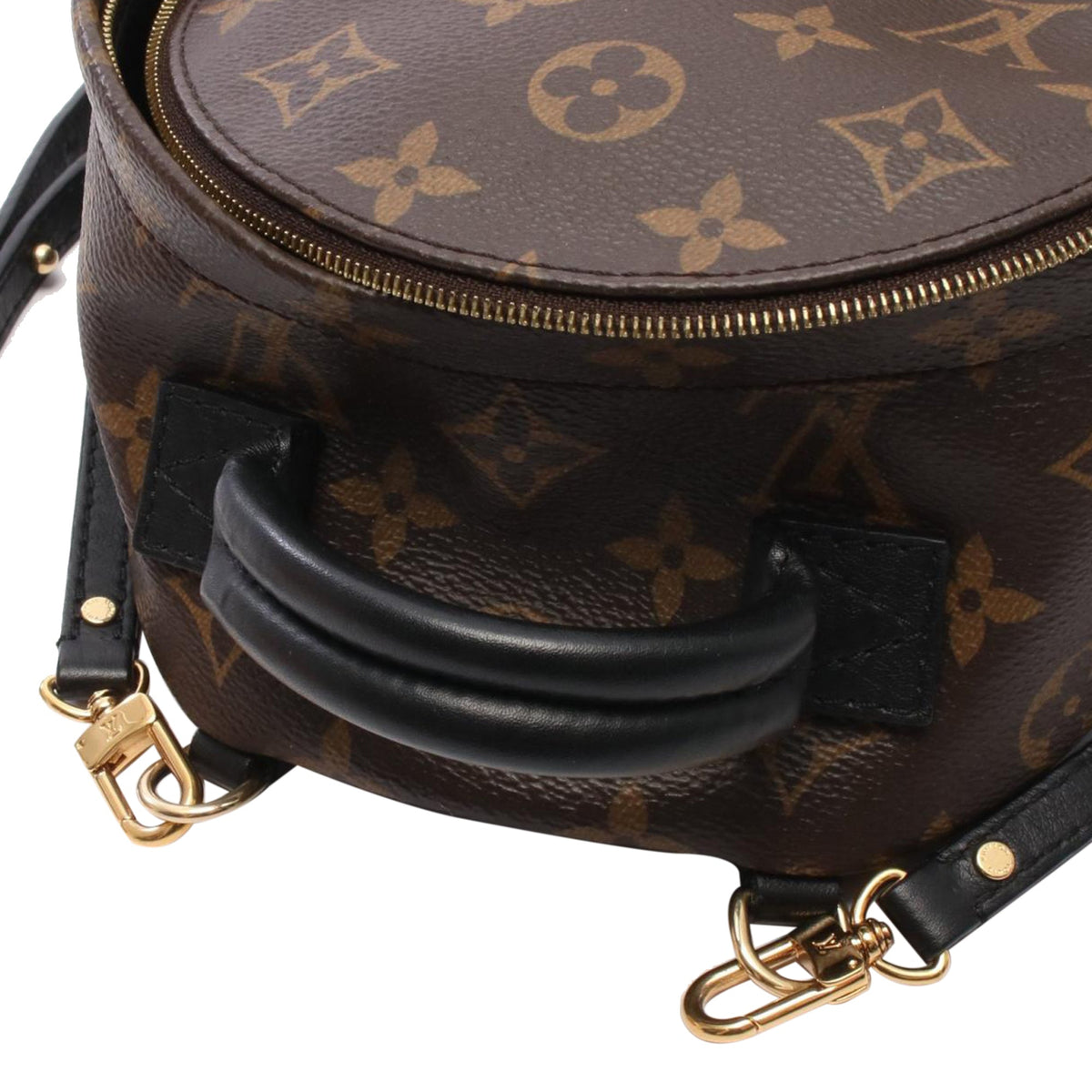 Louis Vuitton Monogram Mini Palm Springs