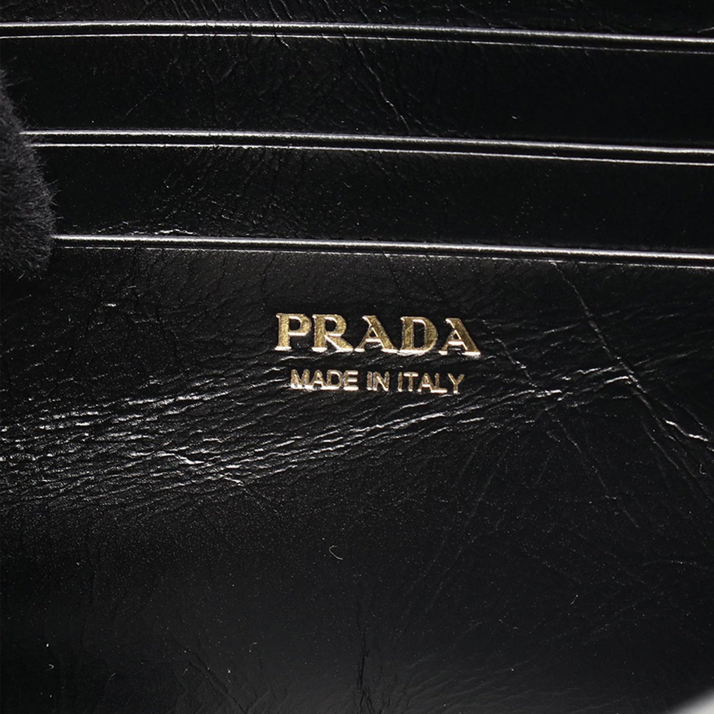 Prada Leather Logo Wallet on Strap