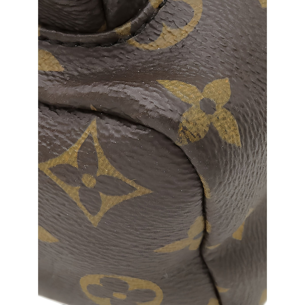 Louis Vuitton Monogram Palm Springs PM — Brown