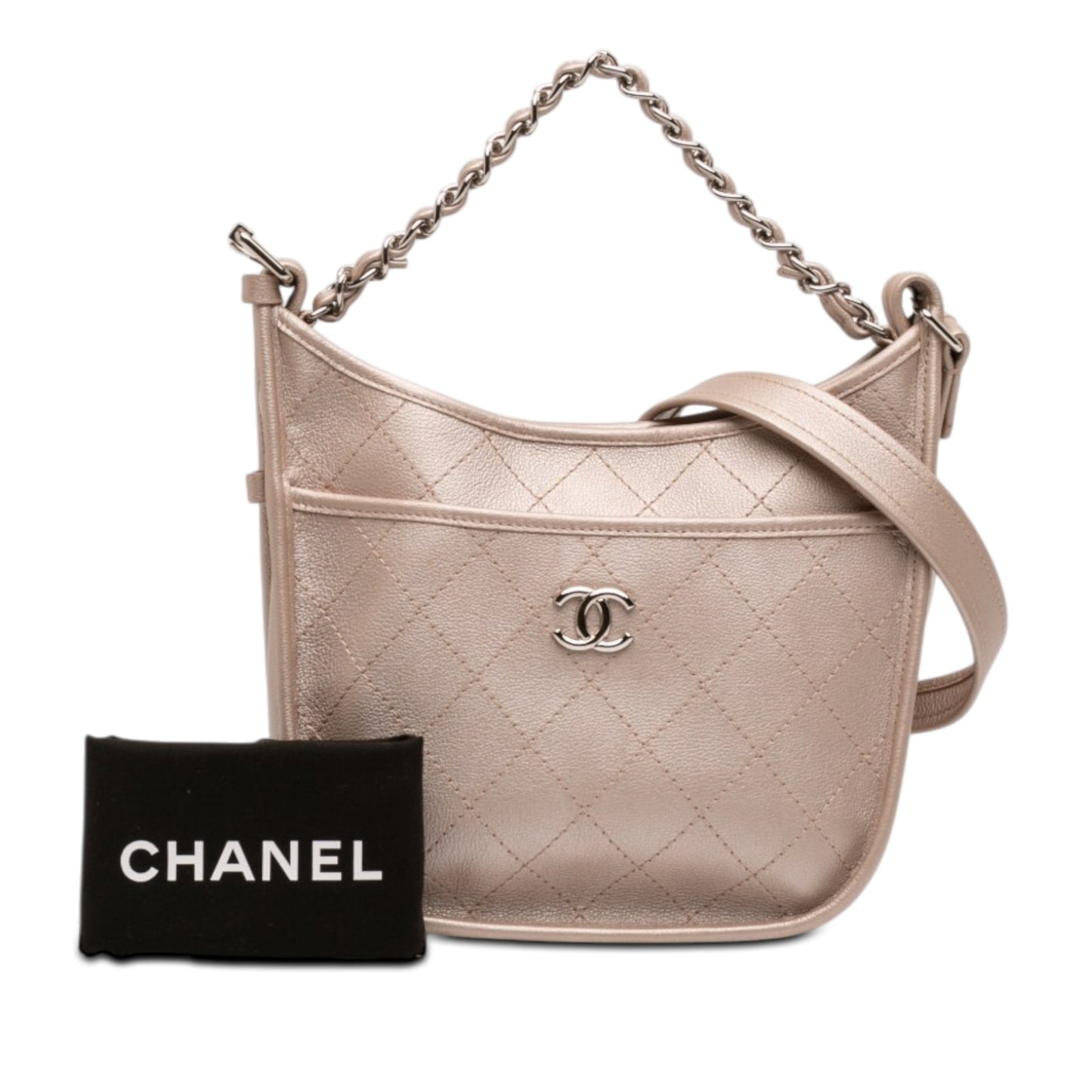 Chanel Small Quilted Metallic Calfskin Jungle Stroll Hobo