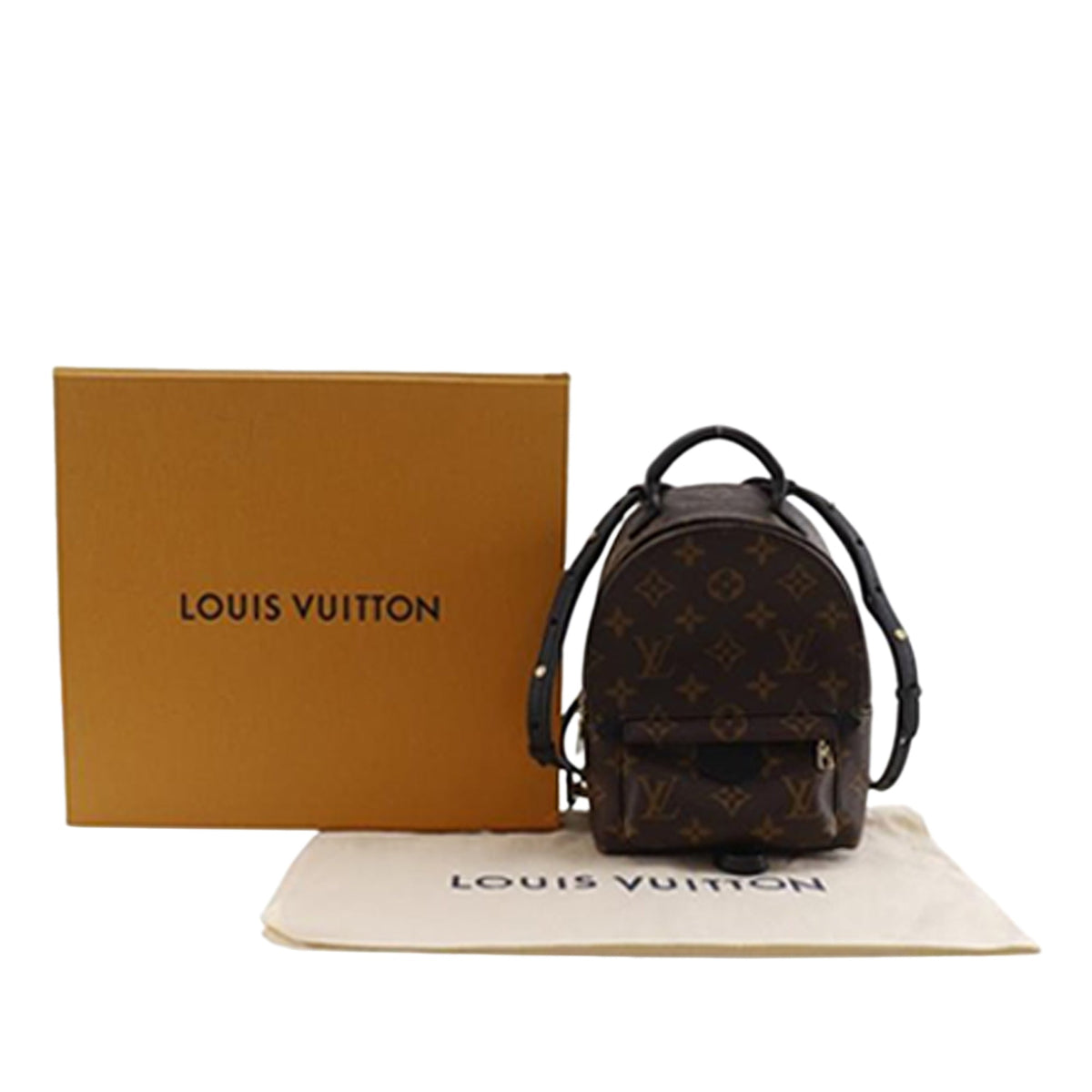 Louis Vuitton Monogram Mini Palm Springs — Brown