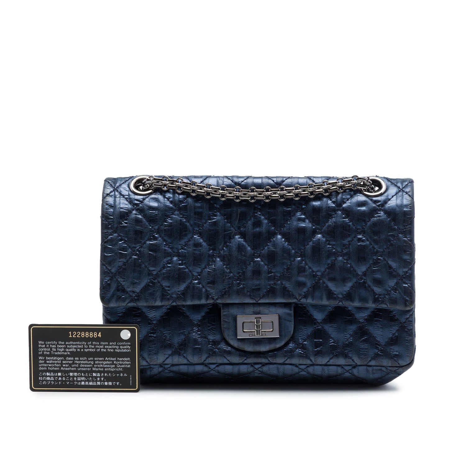 Chanel Quilted Metallic Striped Aged Calfskin Reissue 2.55 Accordion Flap 225