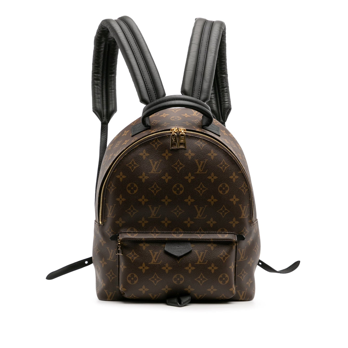 Louis Vuitton Monogram Palm Springs MM