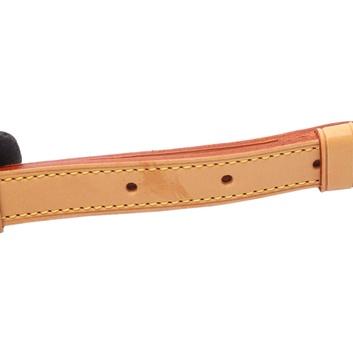 Louis Vuitton Monogram Viva Cite PM