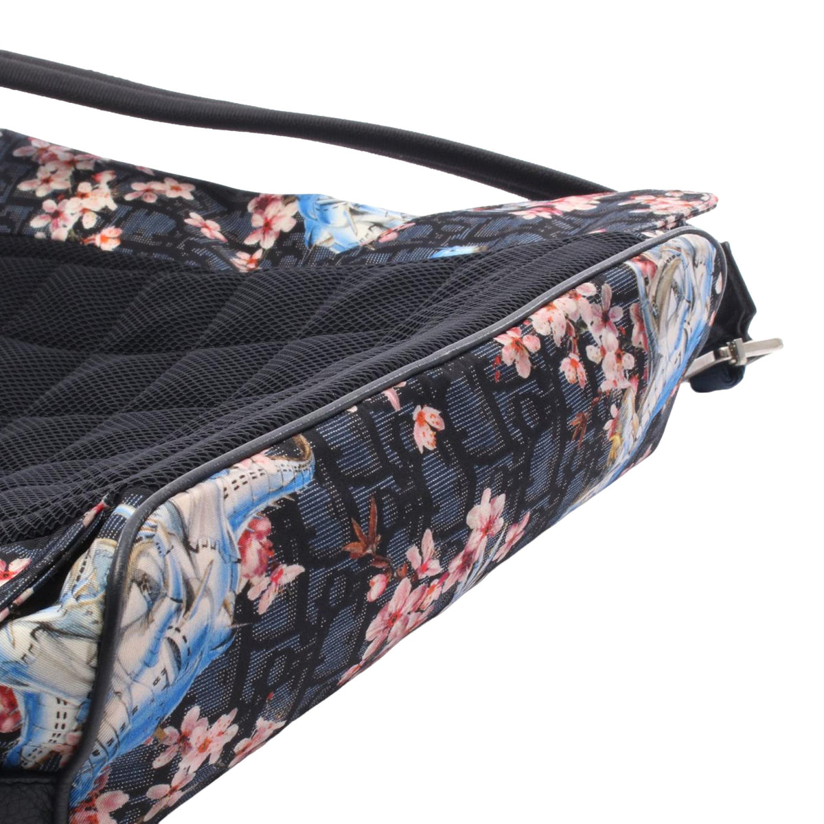 Dior Dior Sorayama Oblique Backpack