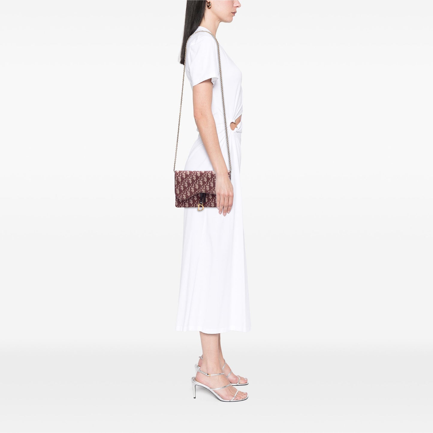 Dior Oblique Canvas Saddle Wallet On Chain