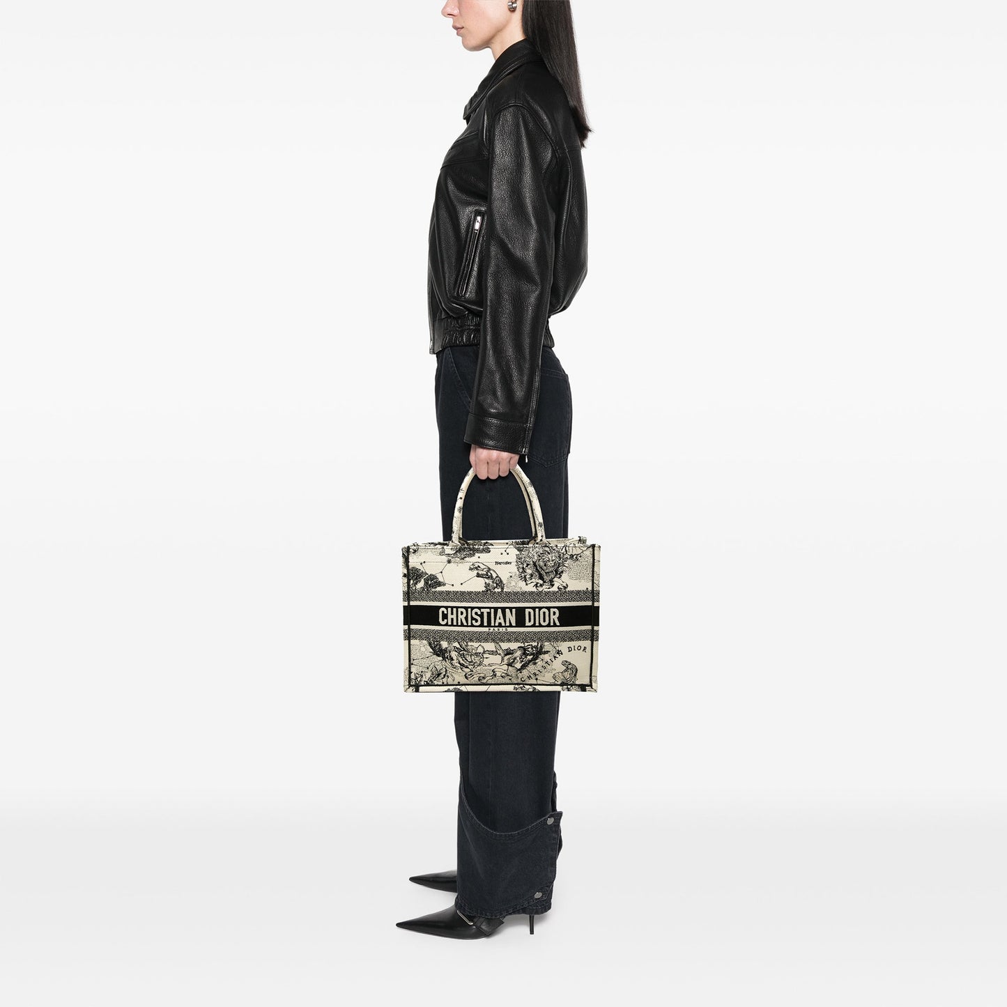Dior Medium Canvas Embroidered Zodiac Toile De Jouy Book Tote