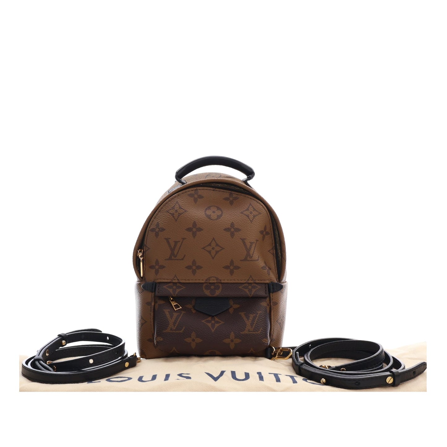 Louis Vuitton Monogram Reverse Mini Palm Springs