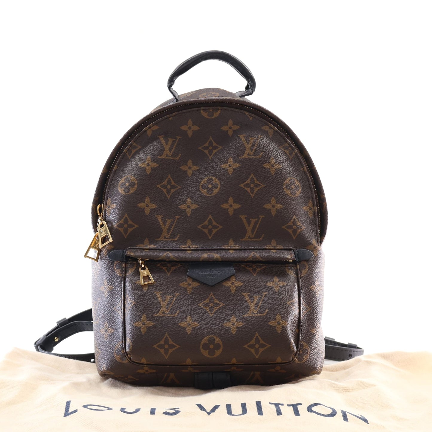 Louis Vuitton Monogram Palm Springs PM