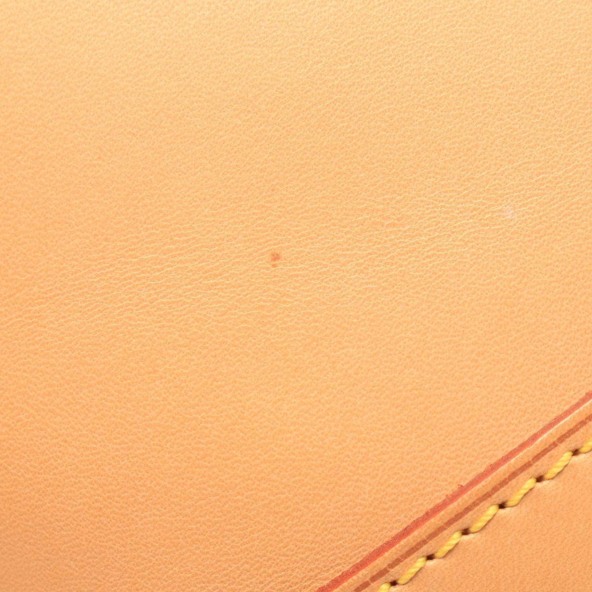 Louis Vuitton Nomade Petit Bucket