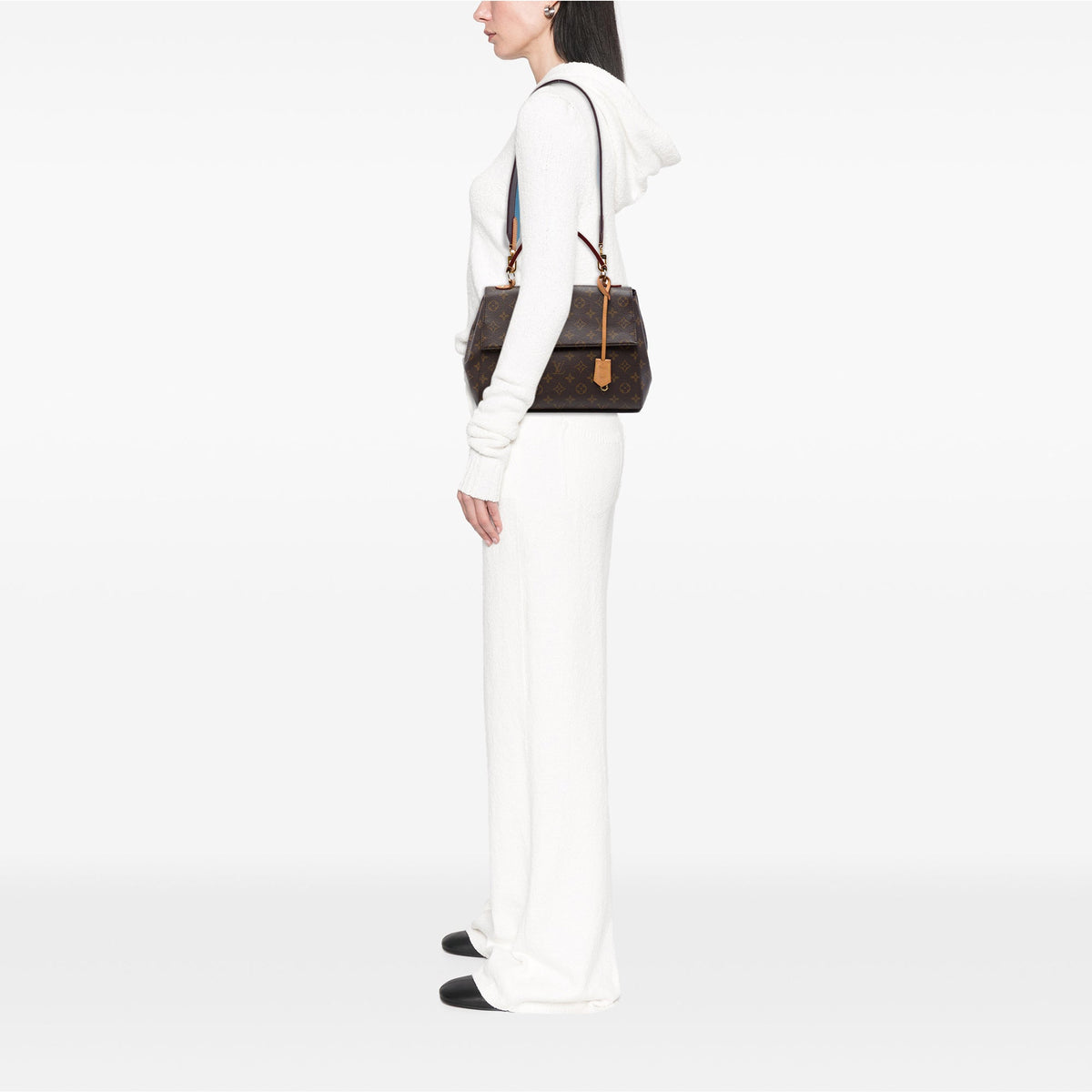 Louis Vuitton Monogram Cluny MM