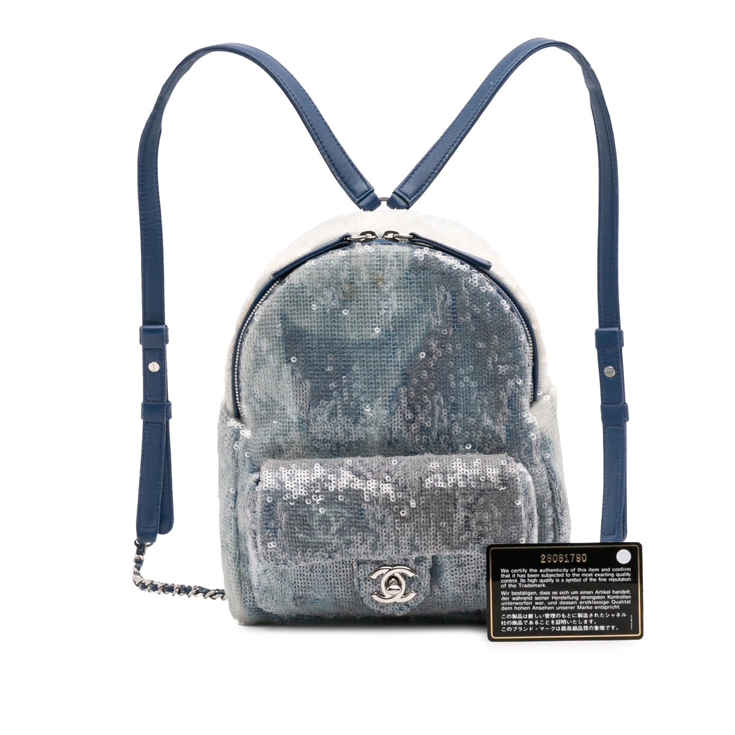 Chanel Sequin Waterfall Backpack