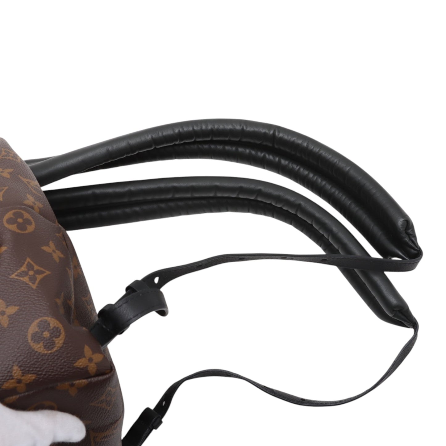 Louis Vuitton Monogram Reverse Palm Springs PM