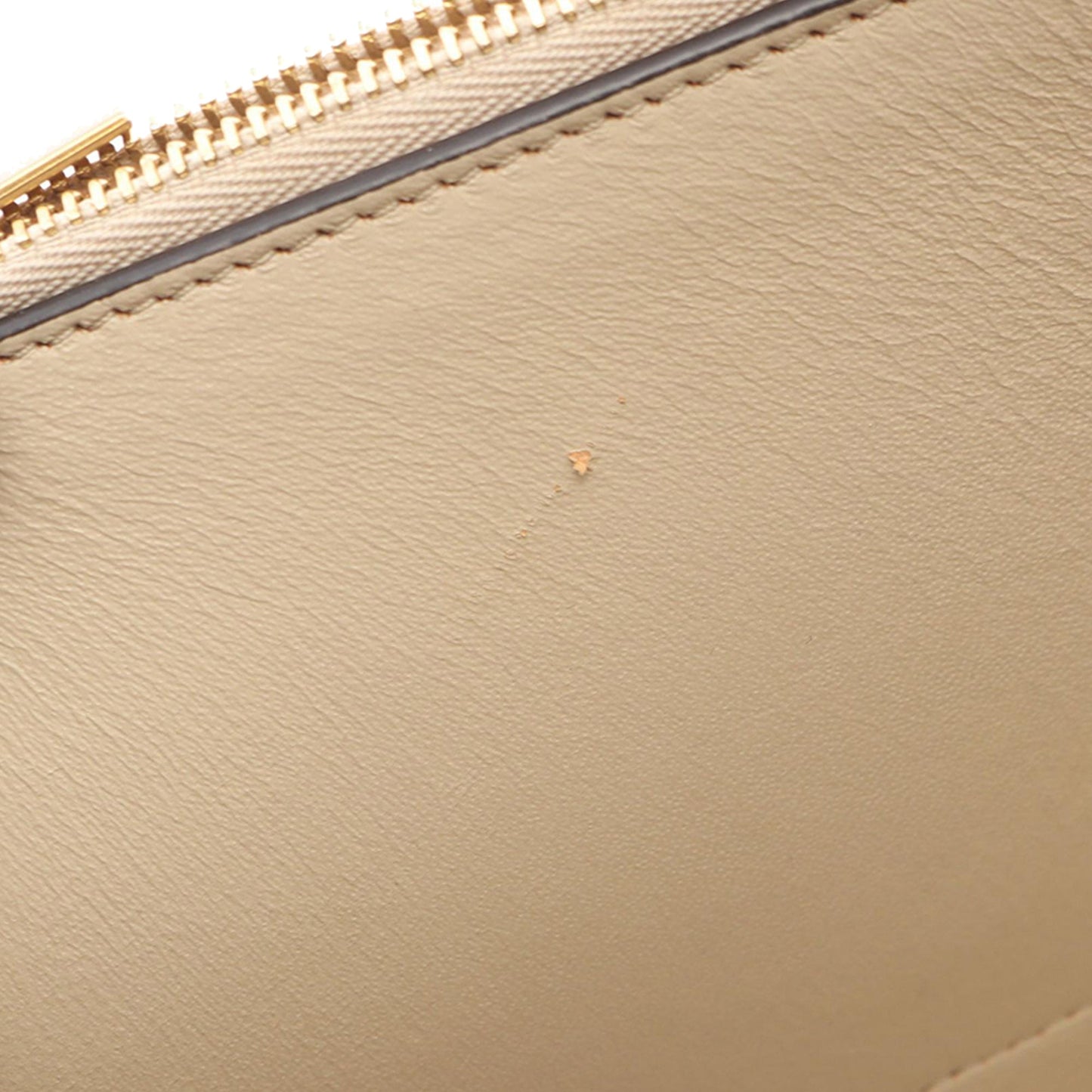 Celine Frame Shoulder Bag