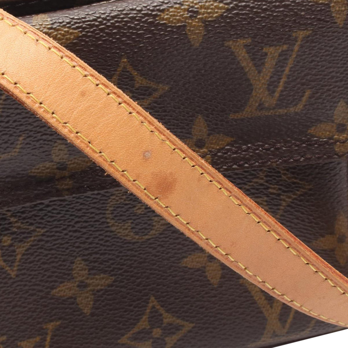 Louis Vuitton Monogram Viva Cite PM — Brown