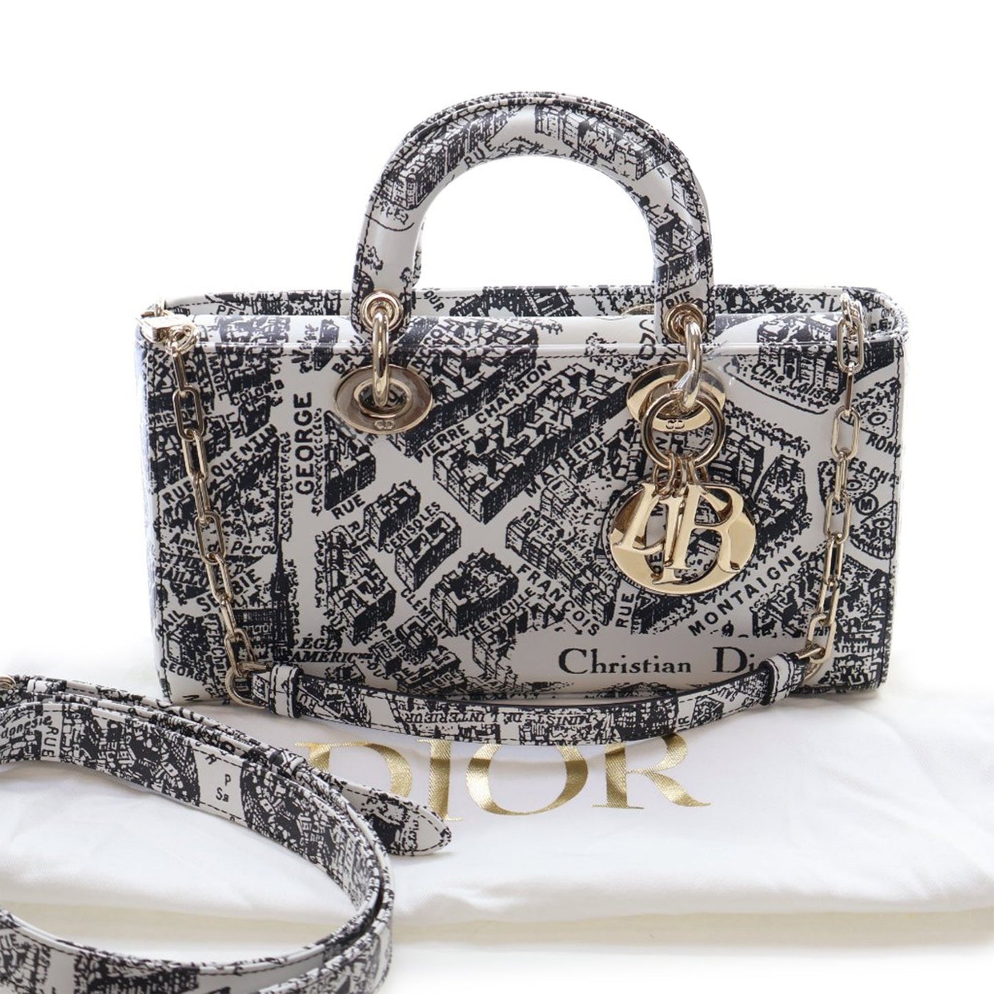 Dior Medium Calfskin Plan De Paris Printed Lady D Joy