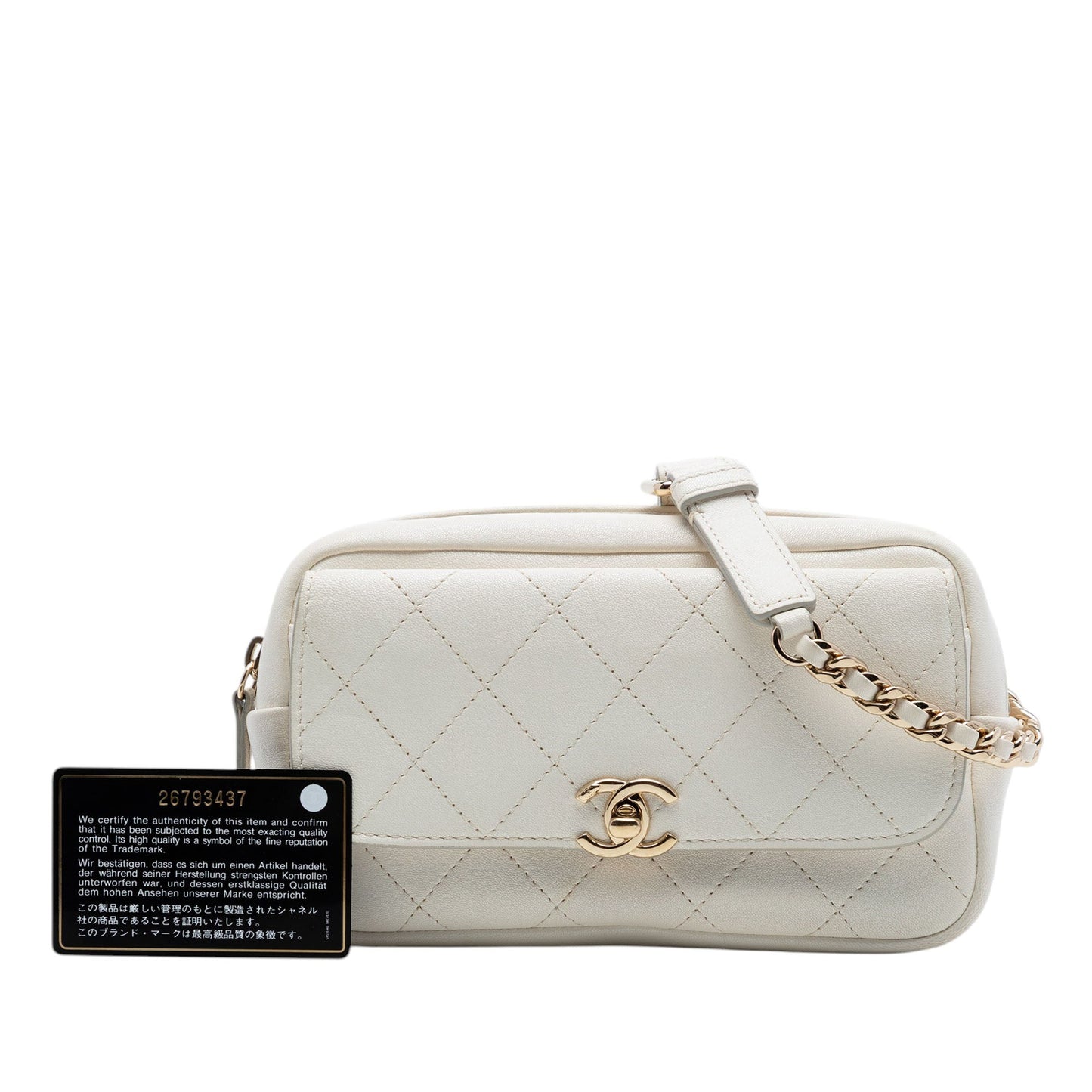 Chanel Quilted Goatskin Casual Trip Waist Bag