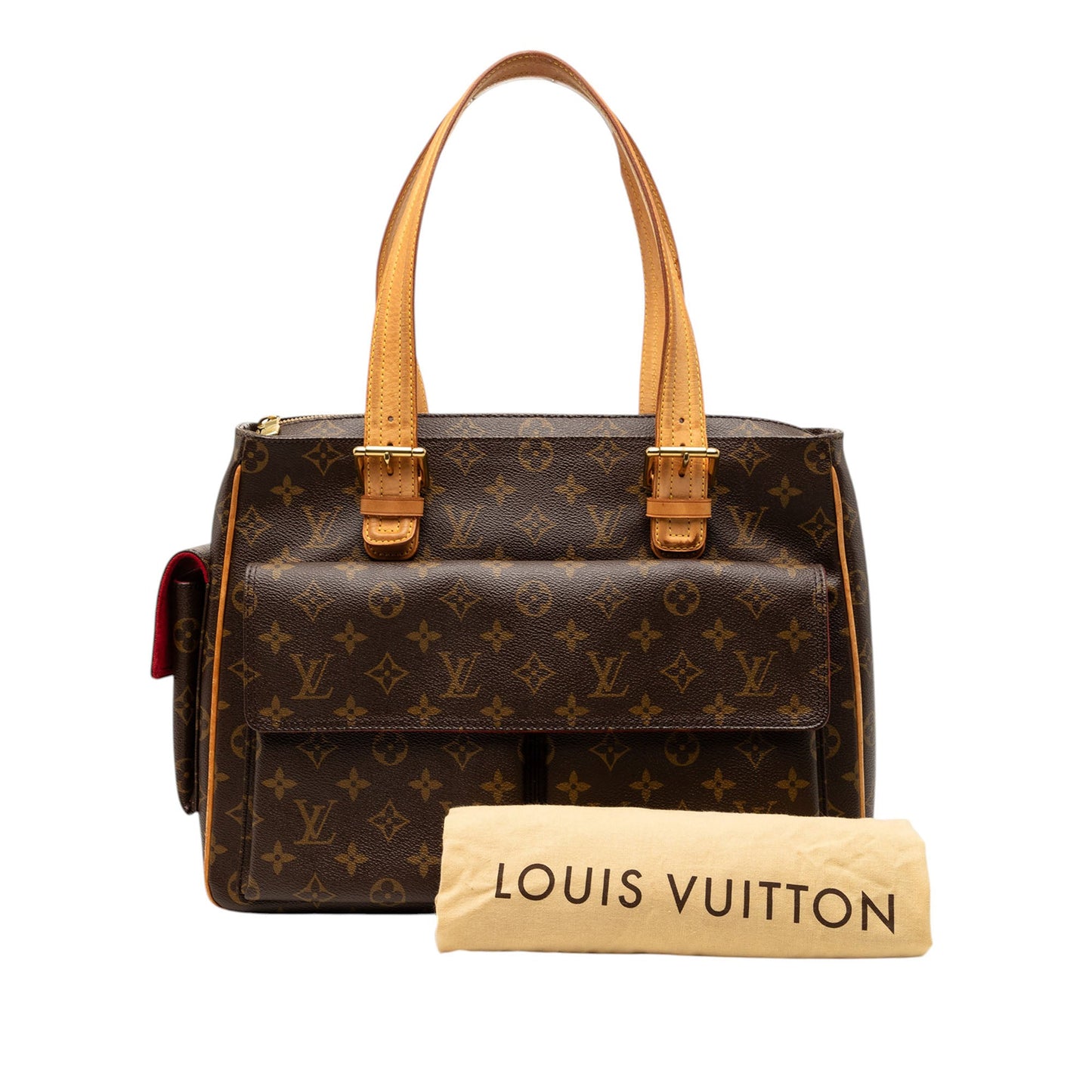 Louis Vuitton Monogram Multipli Cite