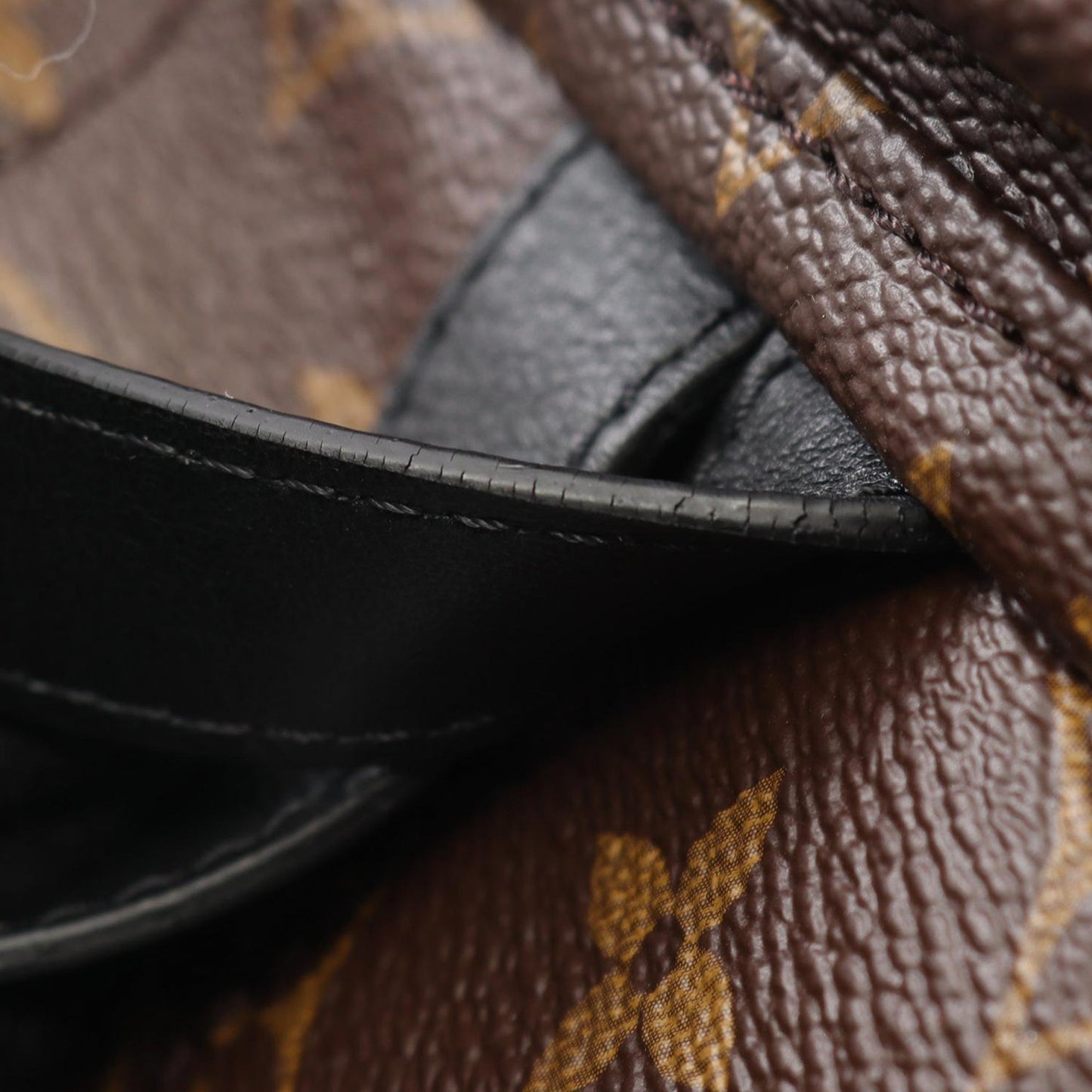 Louis Vuitton Monogram Palm Springs MM