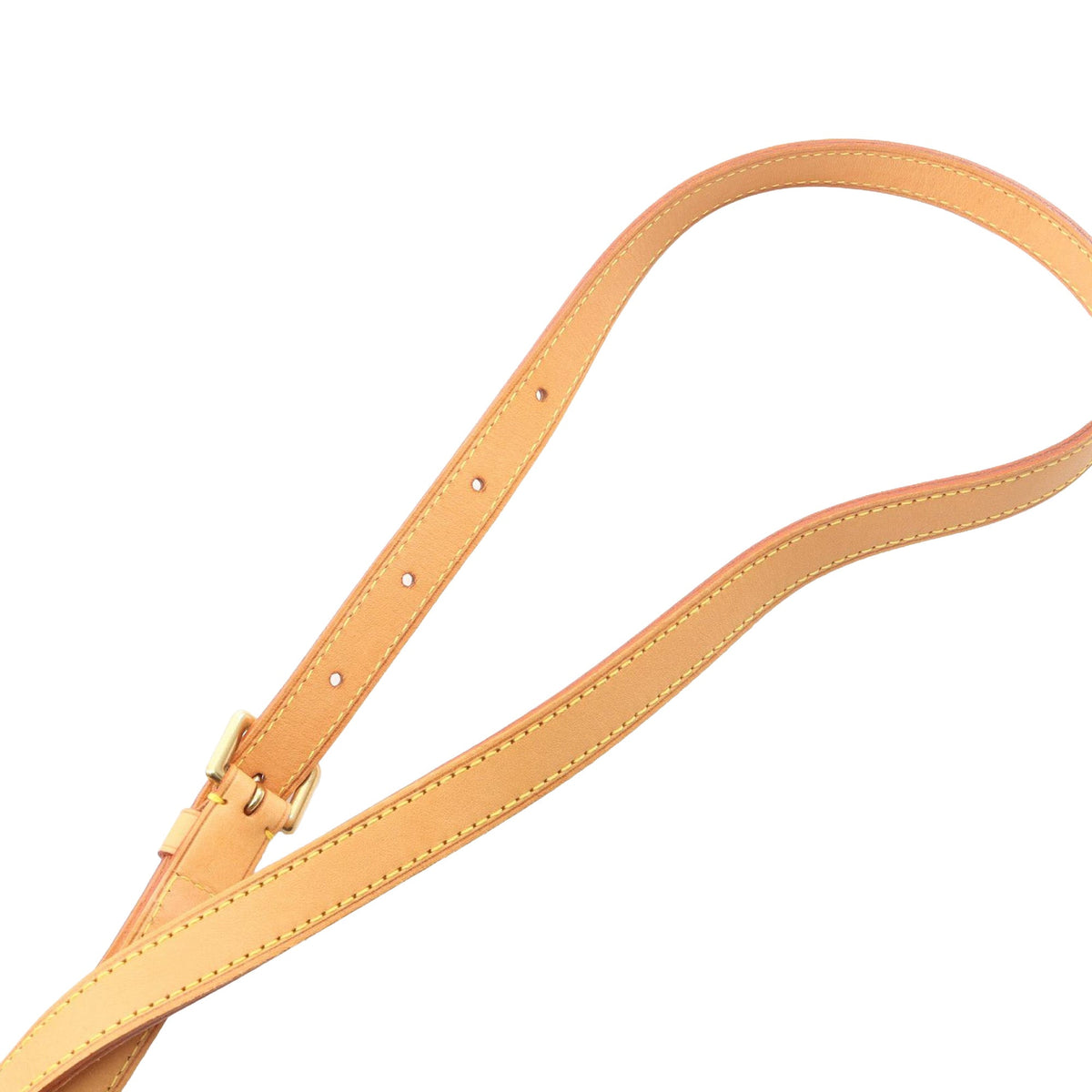 Louis Vuitton Monogram Viva Cite PM