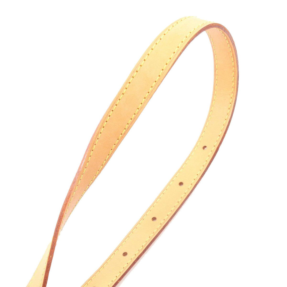 Louis Vuitton Monogram Viva Cite PM