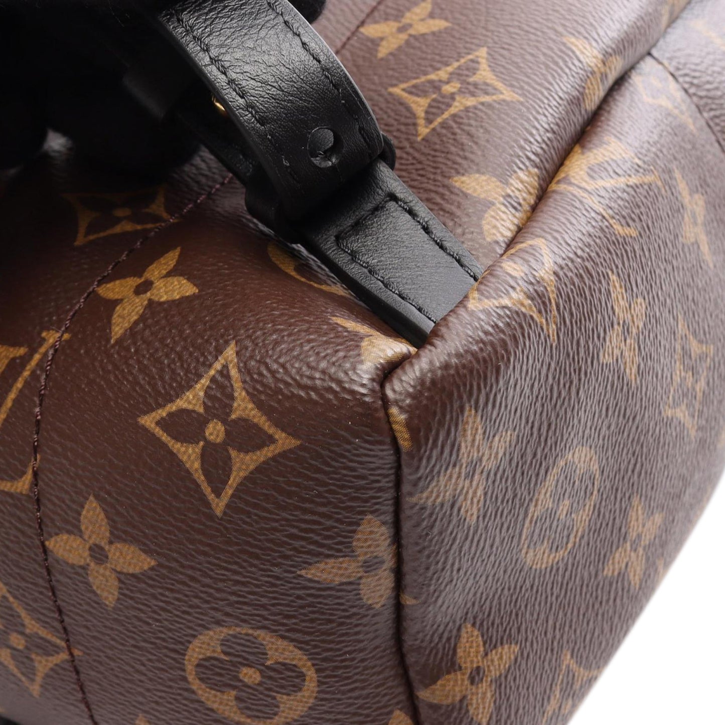Louis Vuitton Monogram Palm Springs PM