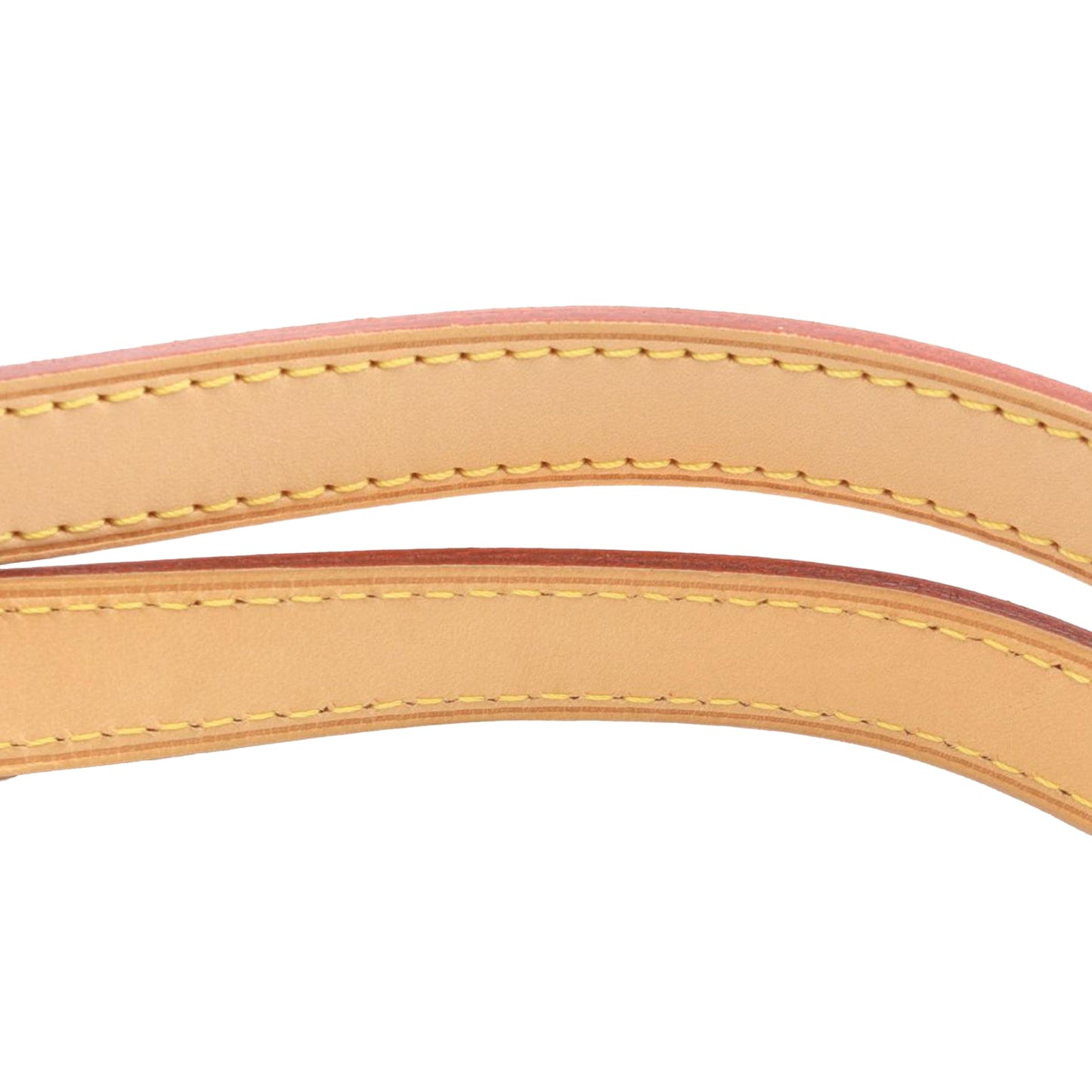 Louis Vuitton Monogram Totally PM