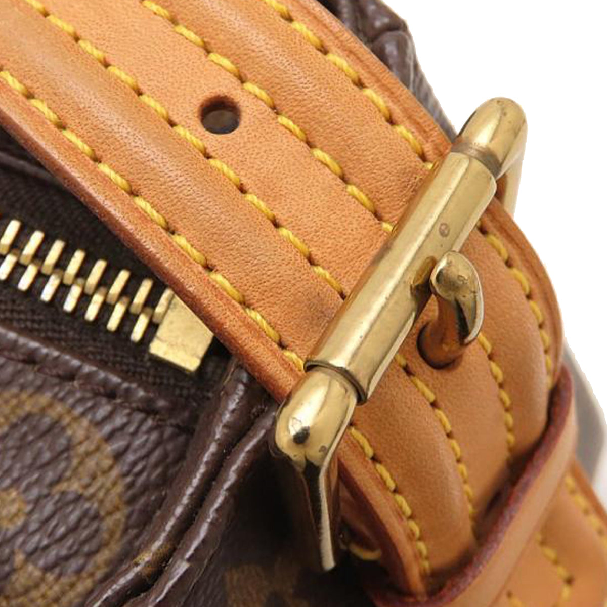 Louis Vuitton Monogram Viva Cite MM