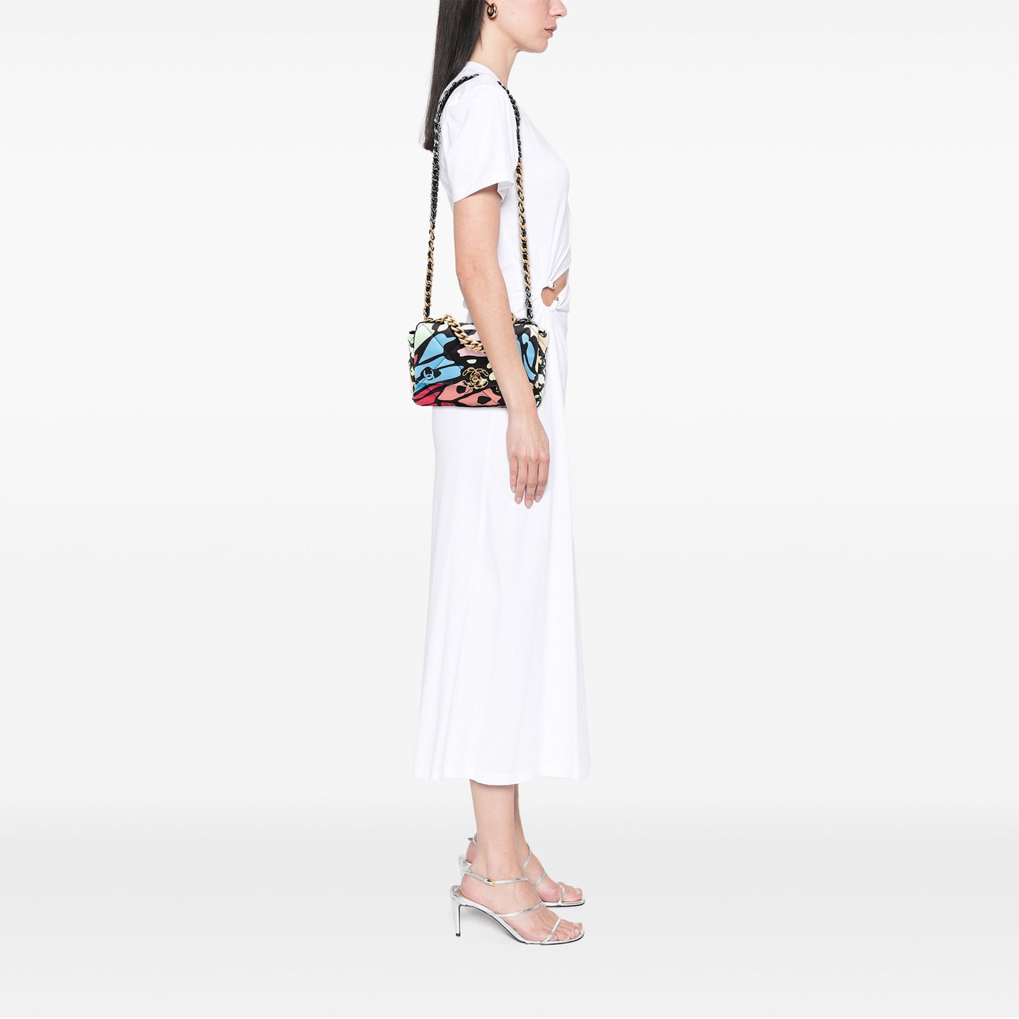 Chanel Medium Printed Canvas 19 Flap
